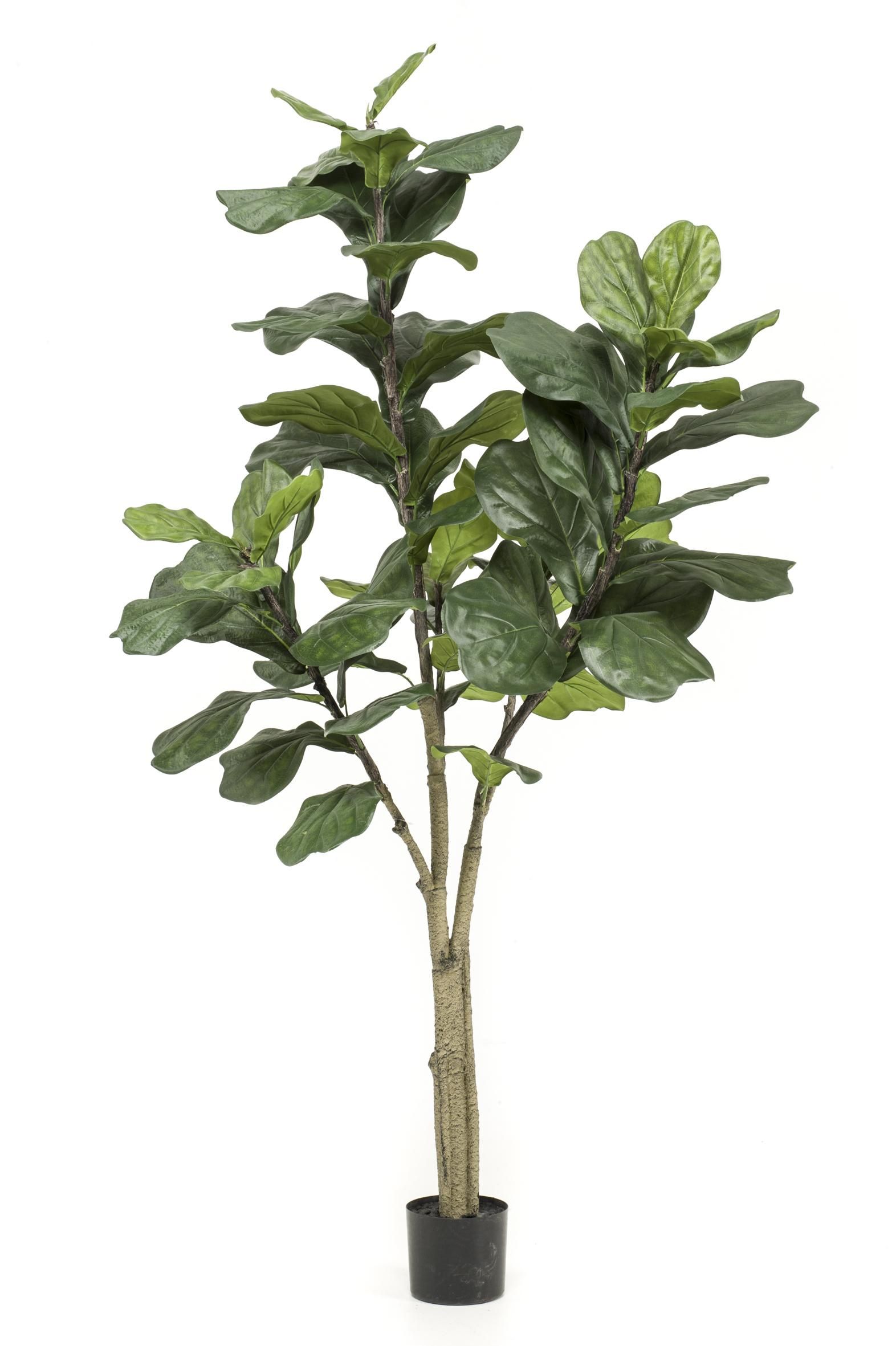 Kunstpflanze Ficus Lyrata Tabakspflanze grün