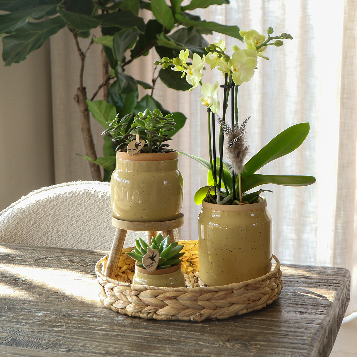 Vintage Blumentopf aus Keramik in Khaki