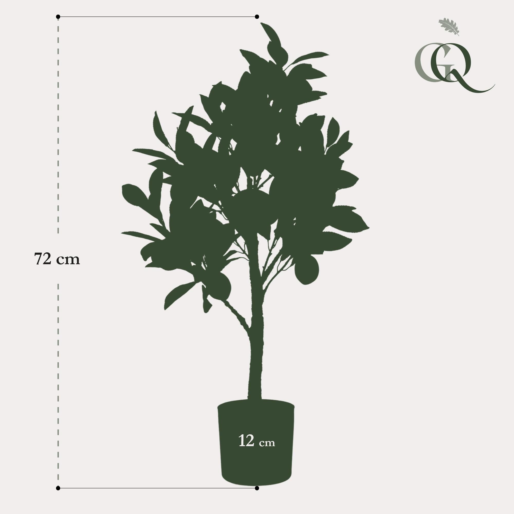 Kunst Zitronenbaum Citrus Limonia