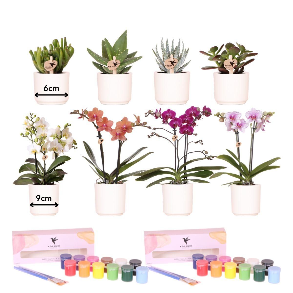 Blumentöpfe Bemal-Set für kreative DIY Projekte