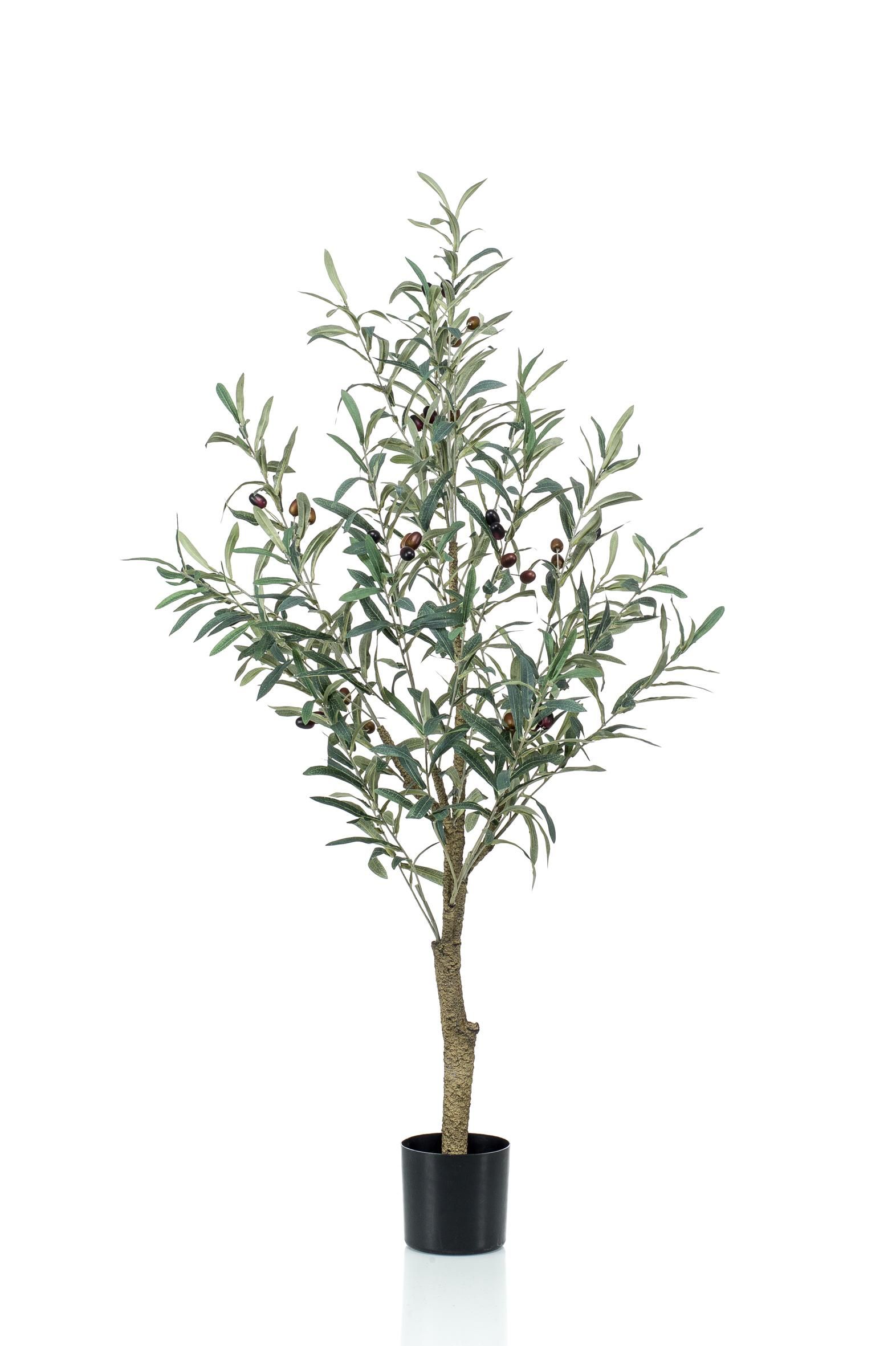 Kunst Olivenbaum Olea europaea