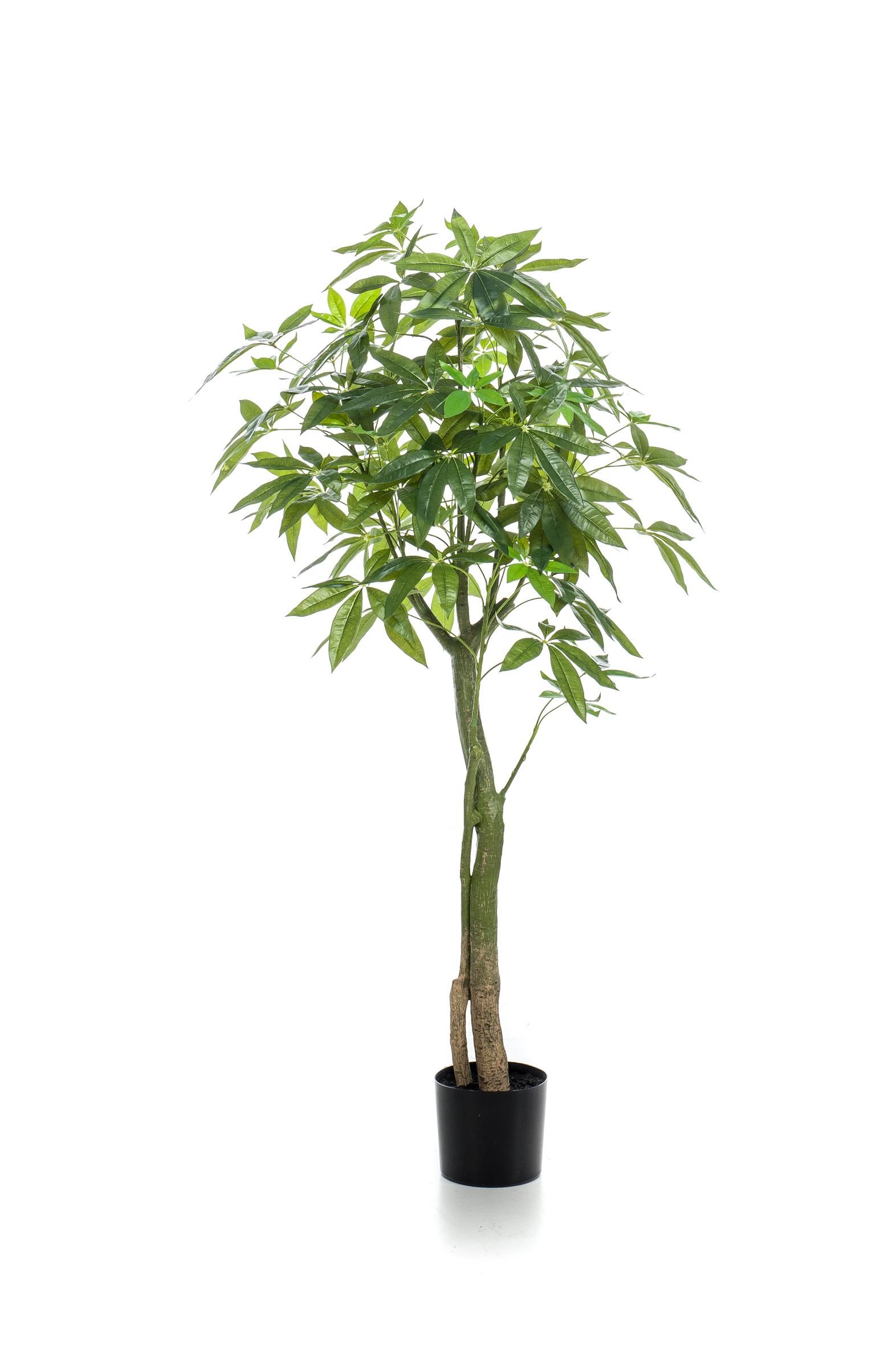 Kunstpflanze Pachira Aquatica Glückskastanie 150 cm