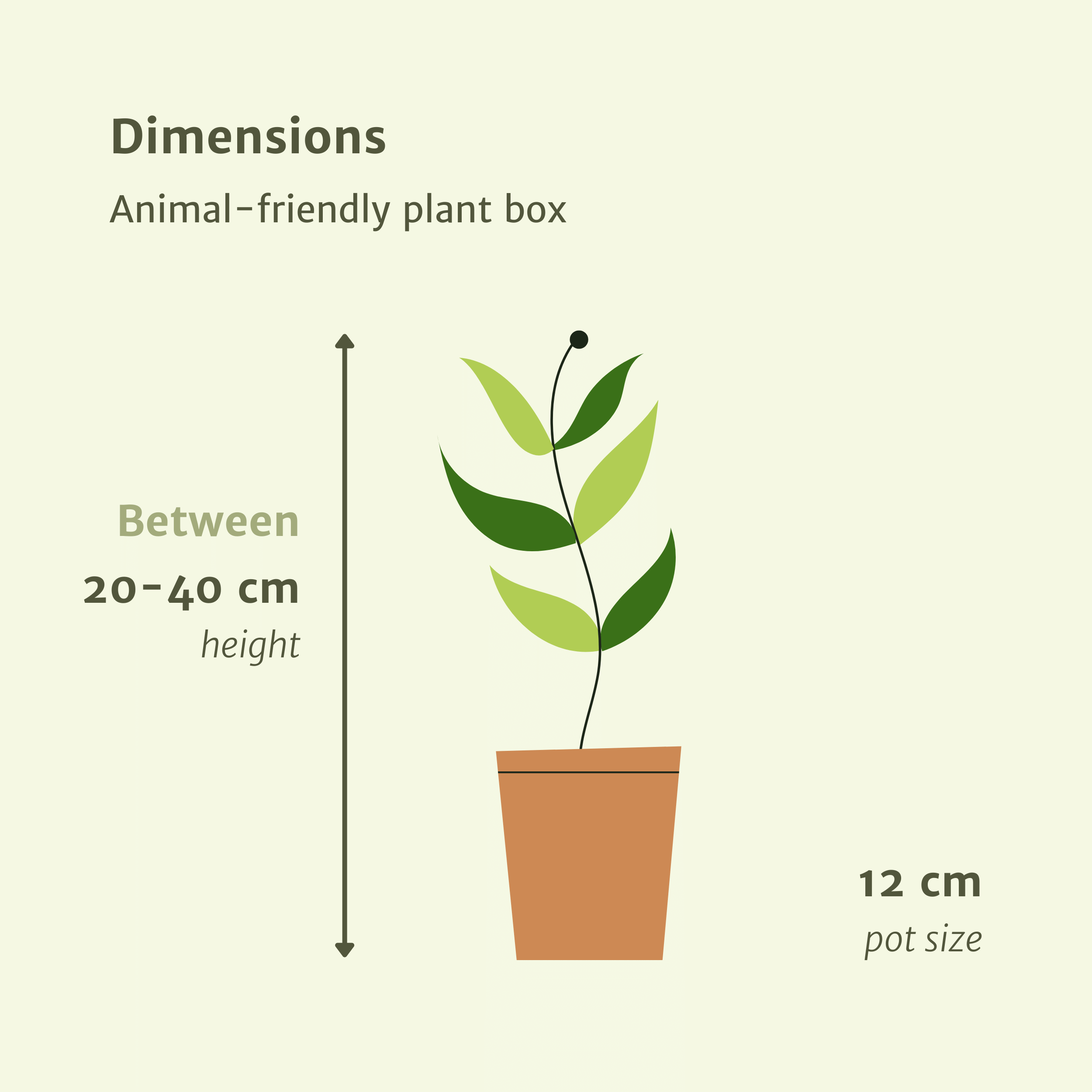 Tierfreundliche Pflanzen Box 4 Stück – Ø12cm – ↕20-40cm