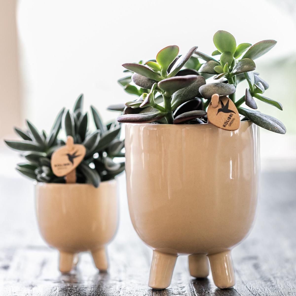 Keramik Blumentopf Travertin