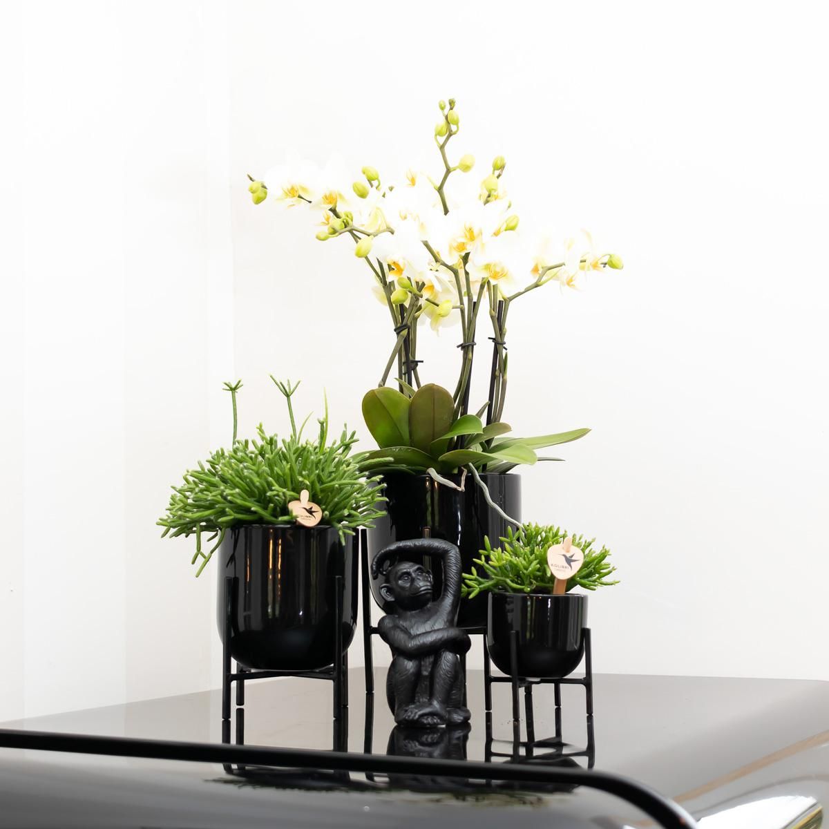 Ornament Affe sitzend in Schwarz