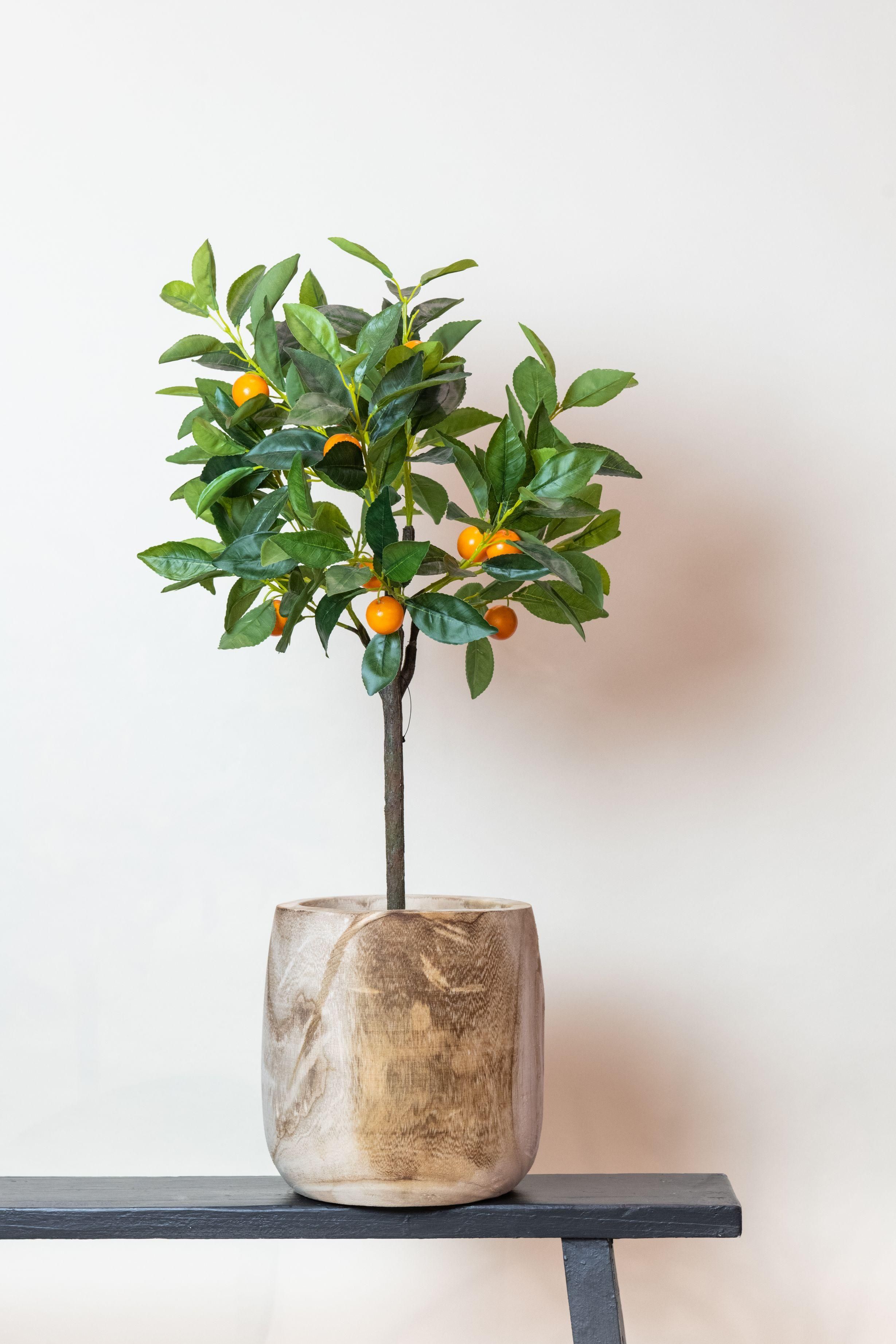 Kunstpflanze Orangebaum Citrus Sinensis