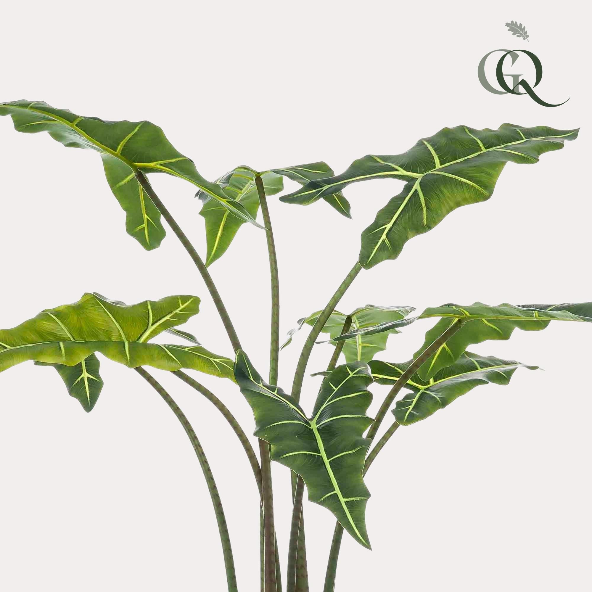 Kunstpflanze Alocasia Frydek Olifantsoor