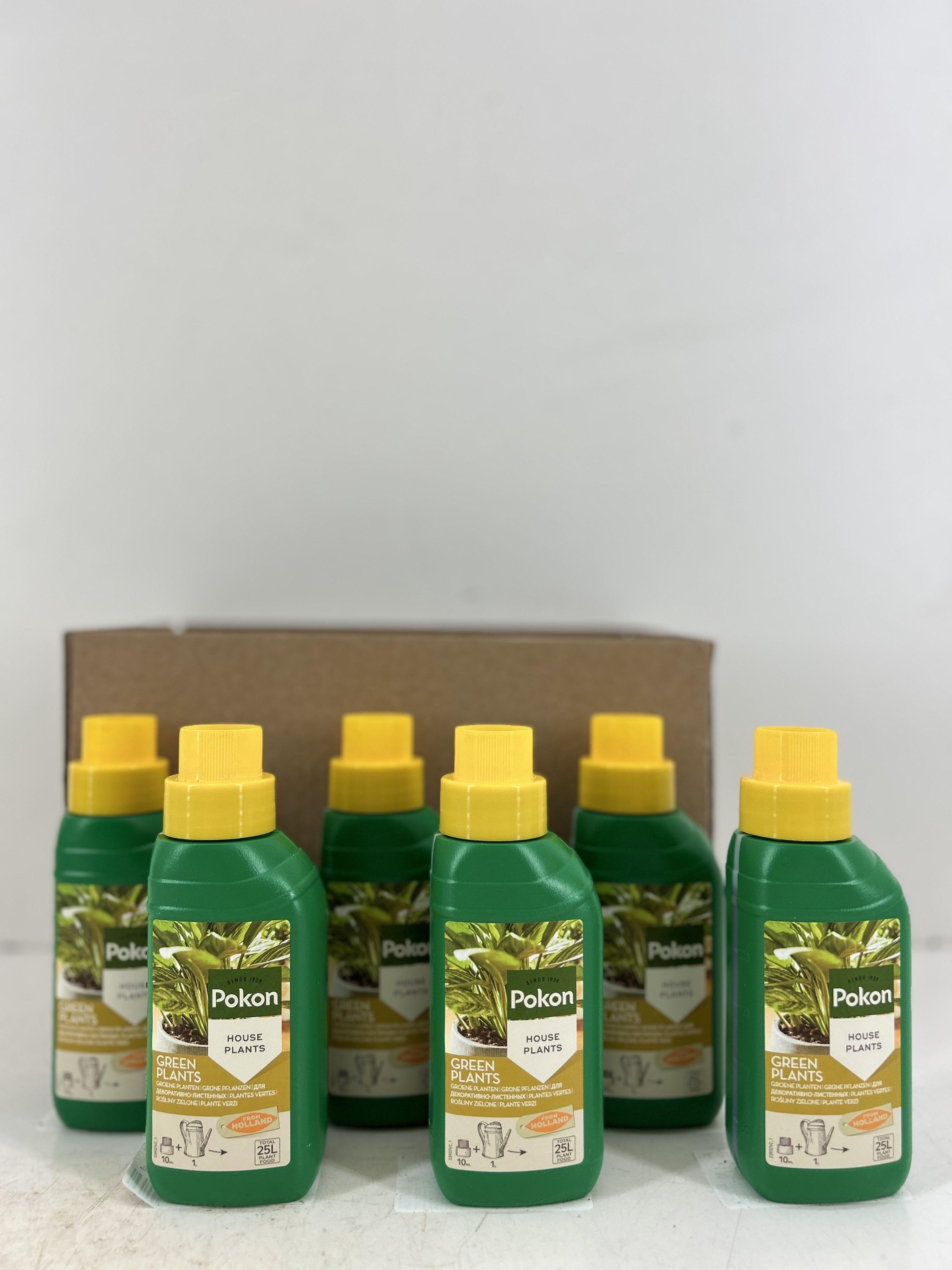 Grüne Pflanzennahrung 250ML im 6er Set
