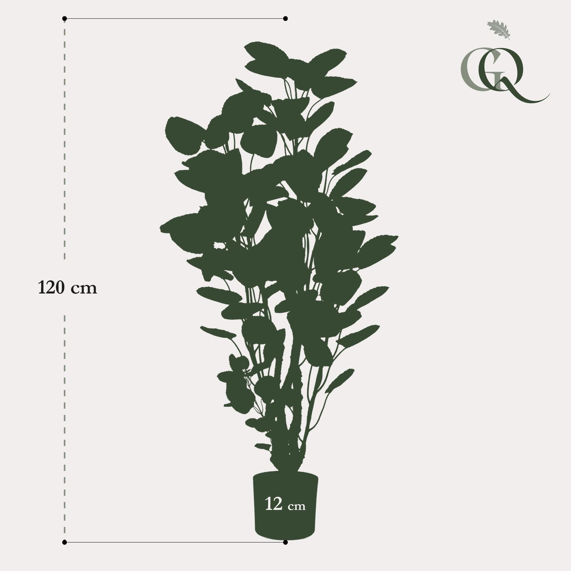 Kunstpflanze Polyscias Aralia 105 cm