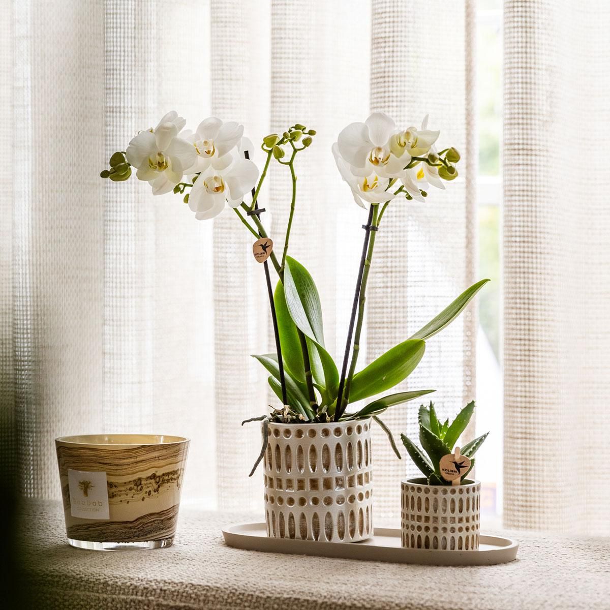 Dekotopf Mosaik Design – Blumentopf Ø9cm