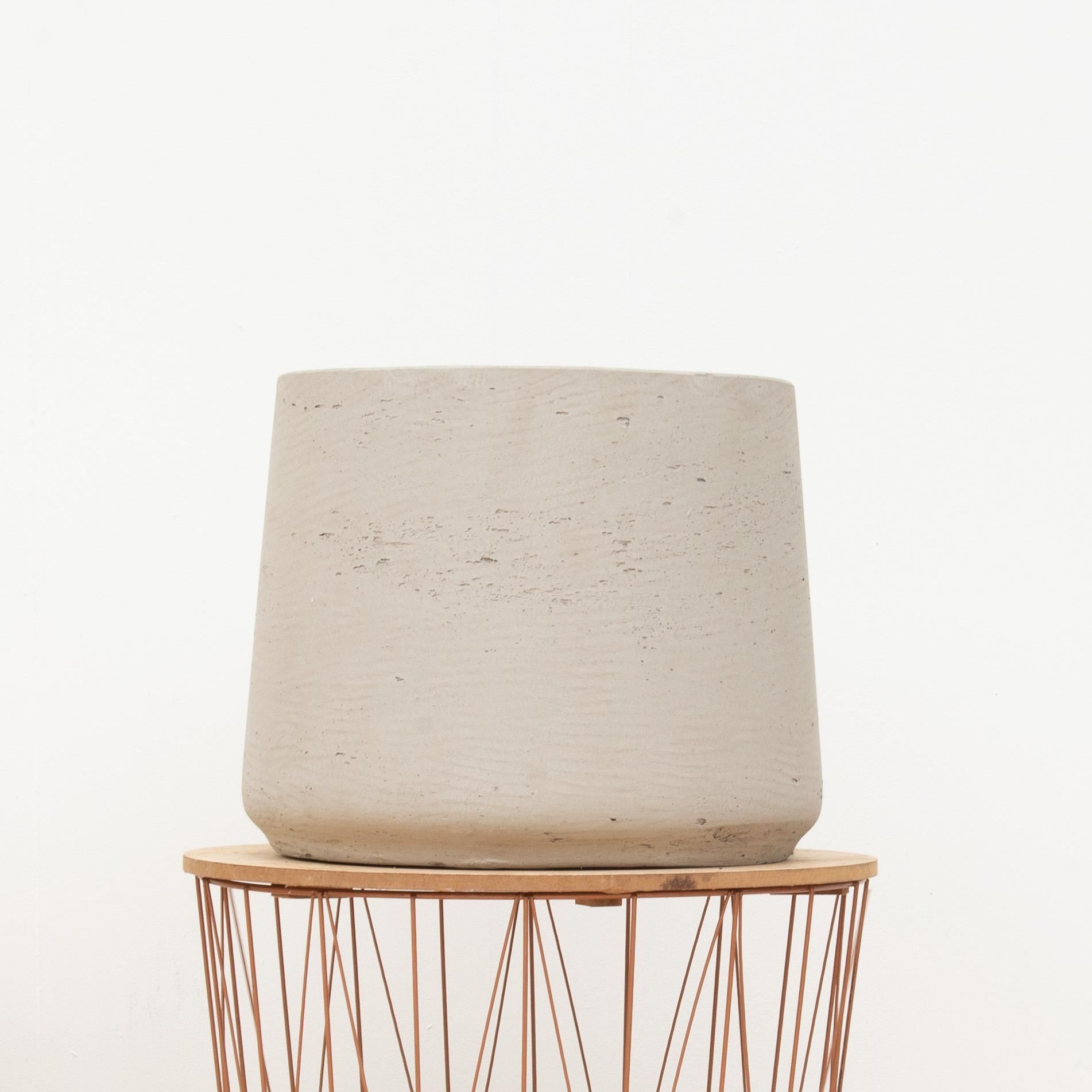Jumbo Orb Beige Washed Pflanze