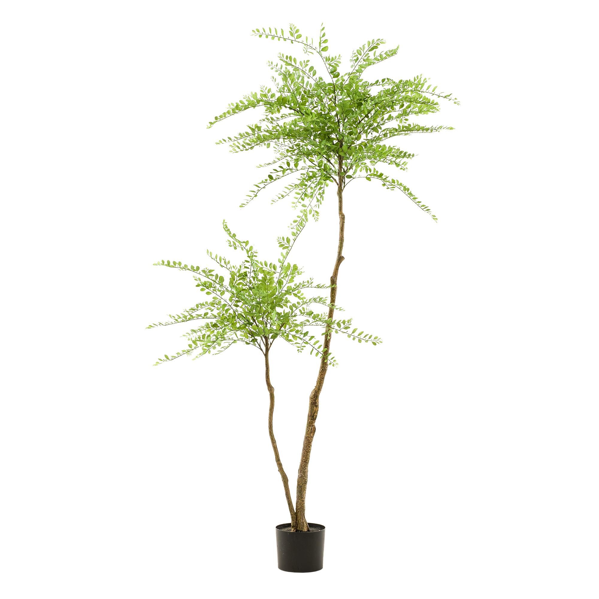 Sophora Baum Kunstpflanze 190cm – Hohe Qualität