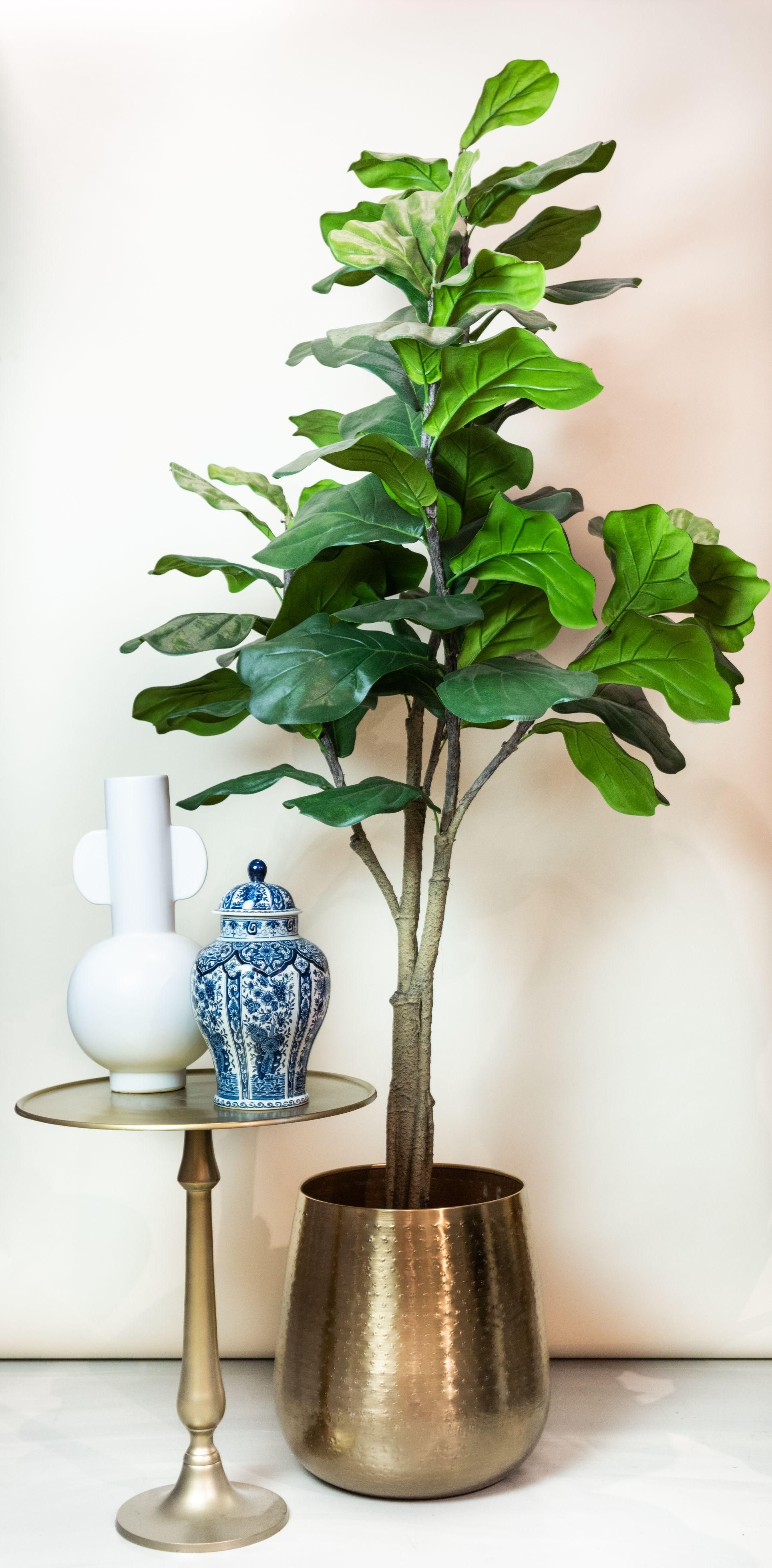 Kunstpflanze Ficus Lyrata Tabakspflanze grün