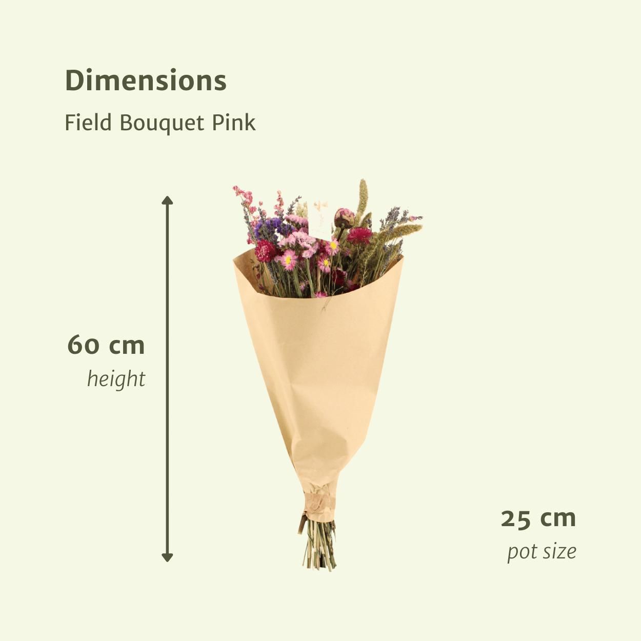 Trockenblumenstrauß Pink mit 35cm Höhe