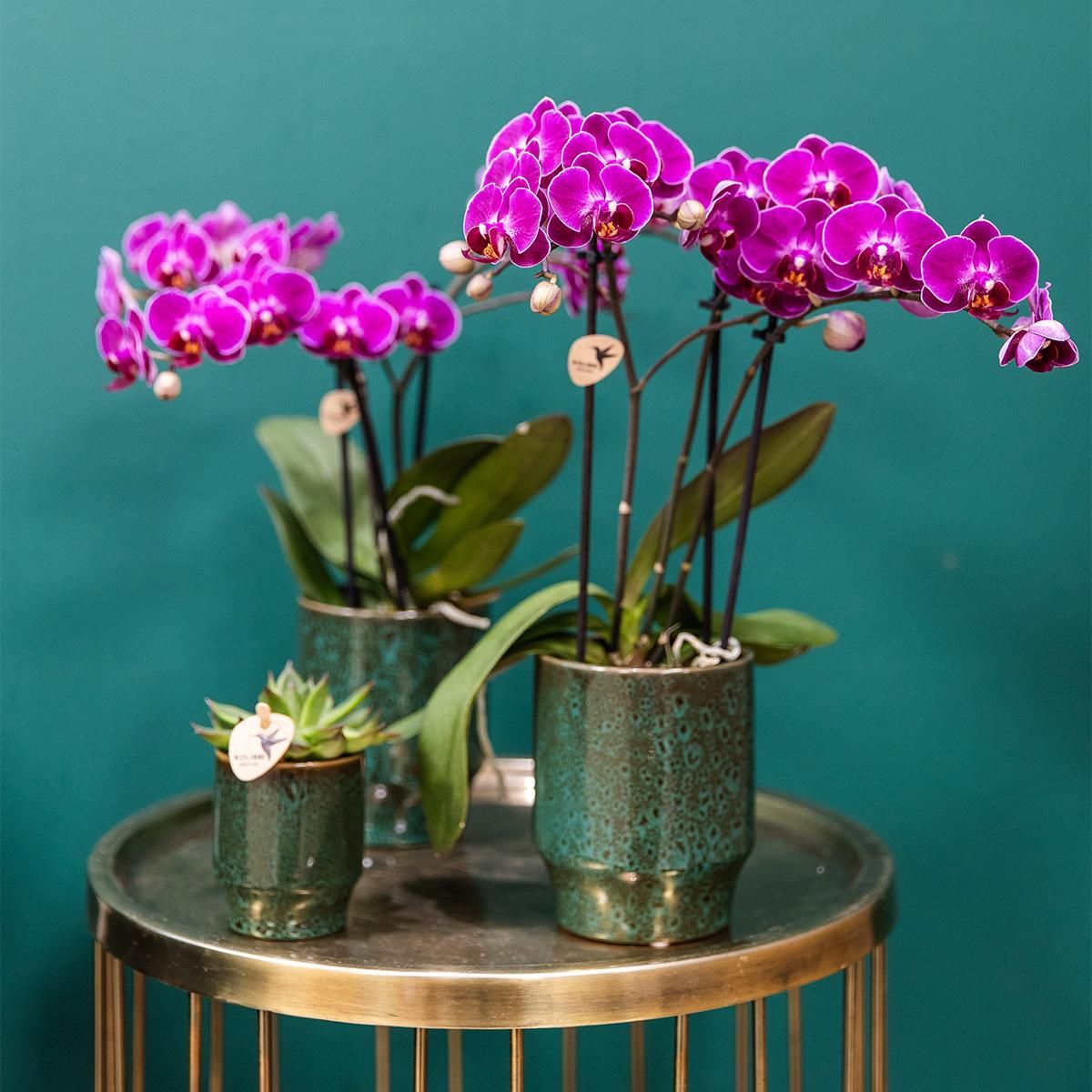 Keramik Dekotopf Classy Green