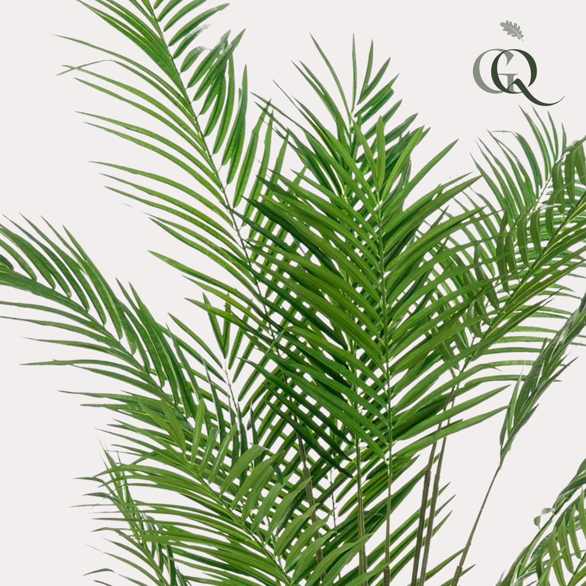 Kunst-Goldpalme Areca Lutescens 180 cm