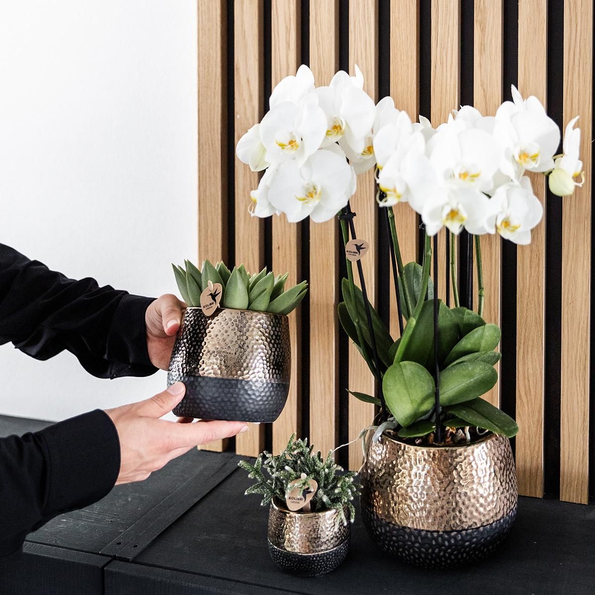 Elite Keramik Blumentopf Kupfer Ø12cm