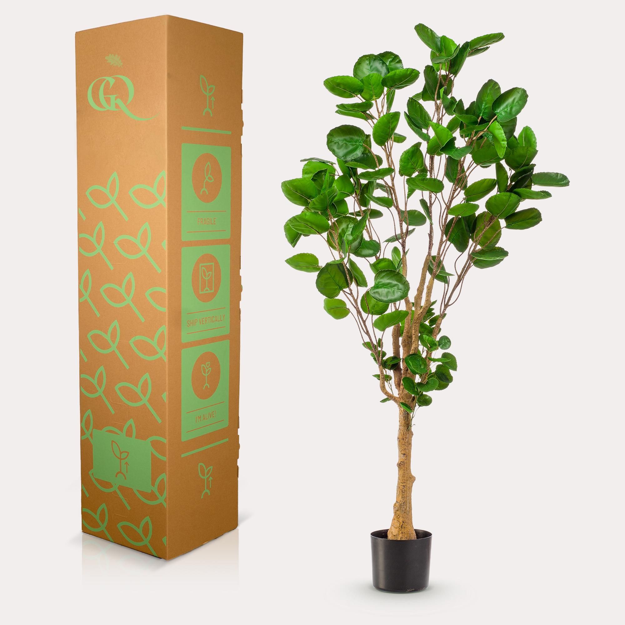 Kunstpflanze Polyscias Aralia 150 cm