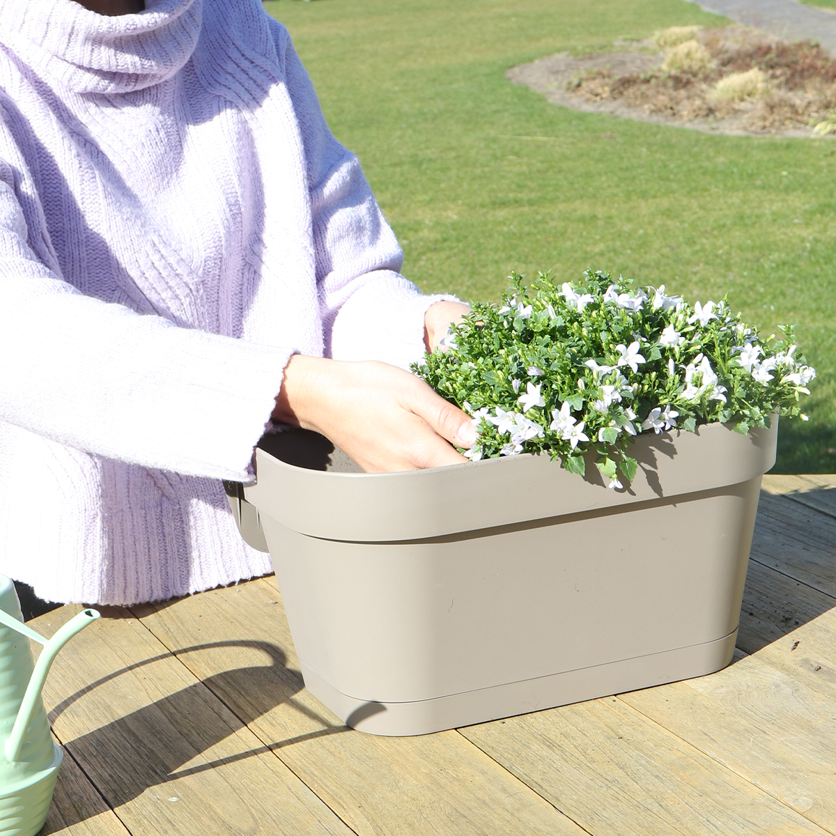 Taupe Balkonpflanzer mit weißen Campanula Stauden
