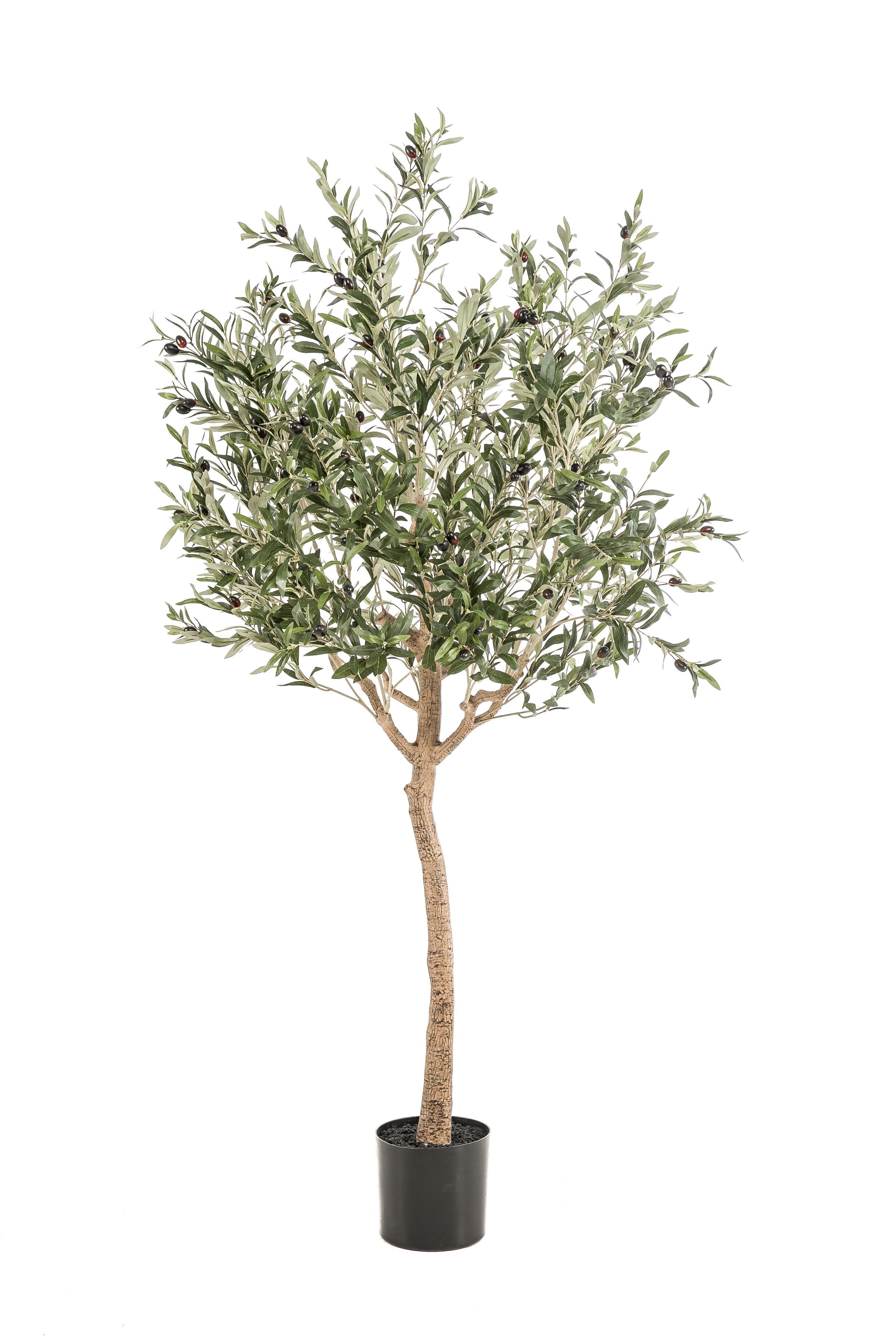 Kunst Olivenbaum Olea europaea 180 cm
