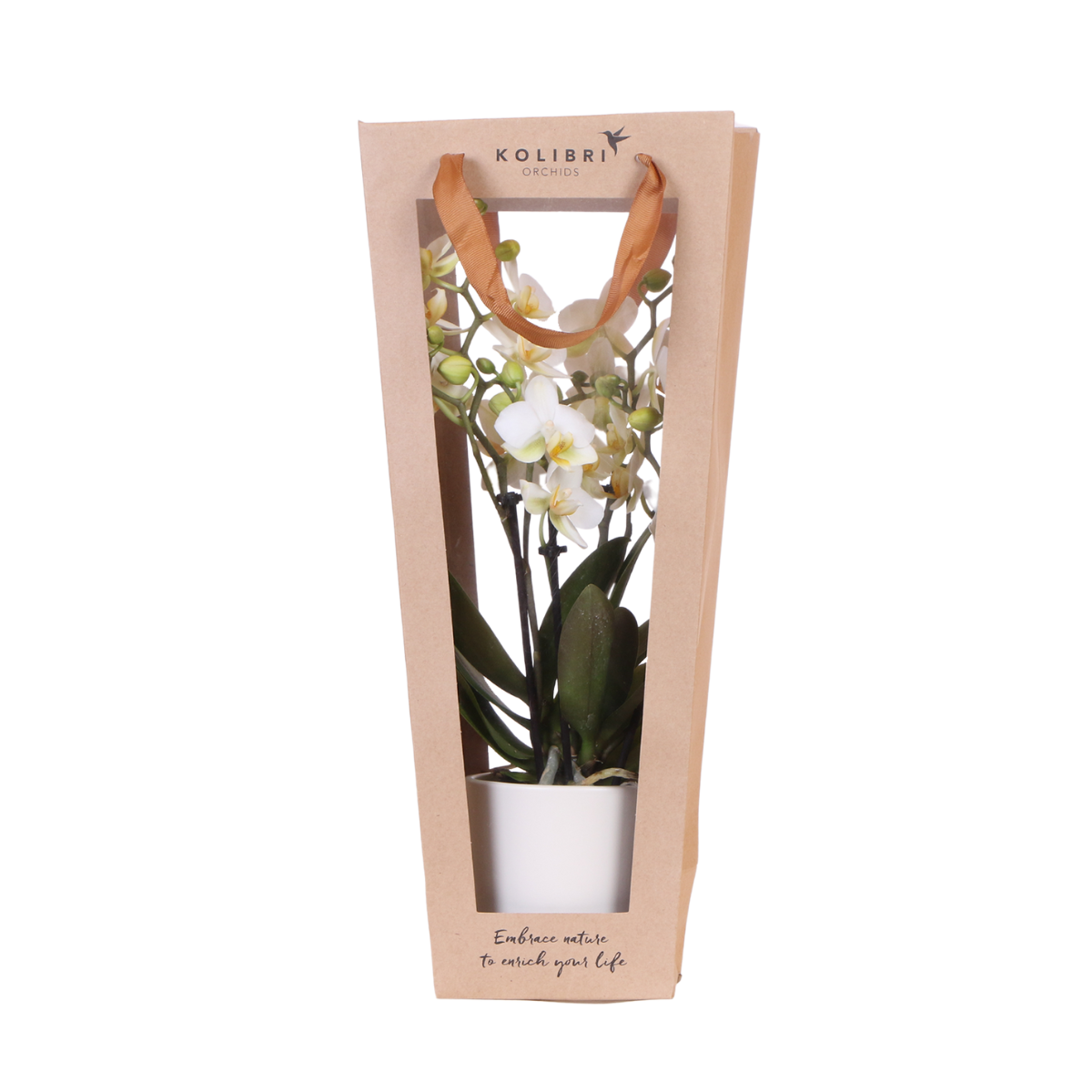 Geschenktasche für Orchidee – Mit dekorativem Topf 9cm