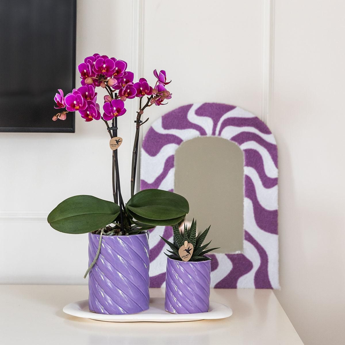 Geschenkset Optimismus – Orchidee & Grünpflanze – Lila – Mit Deko-Töpfen & Tablett