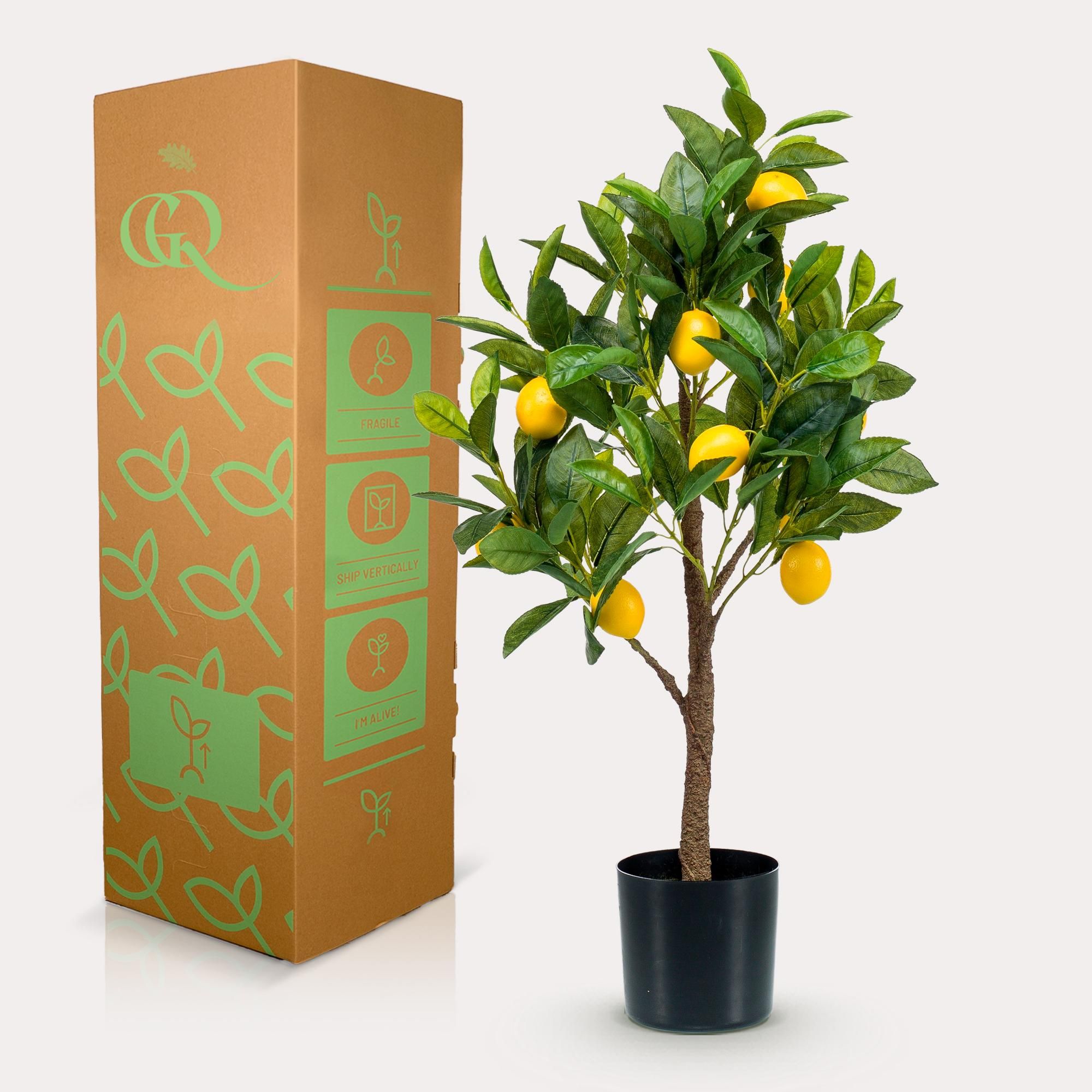 Kunst Zitronenbaum Citrus Limonia