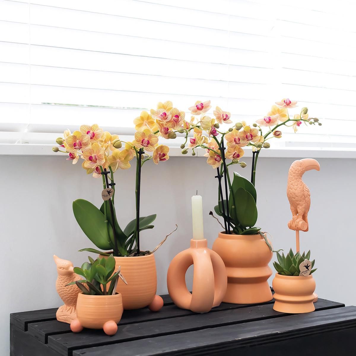 Keramik Blumentopf Rolling Pfirsich Ø6cm