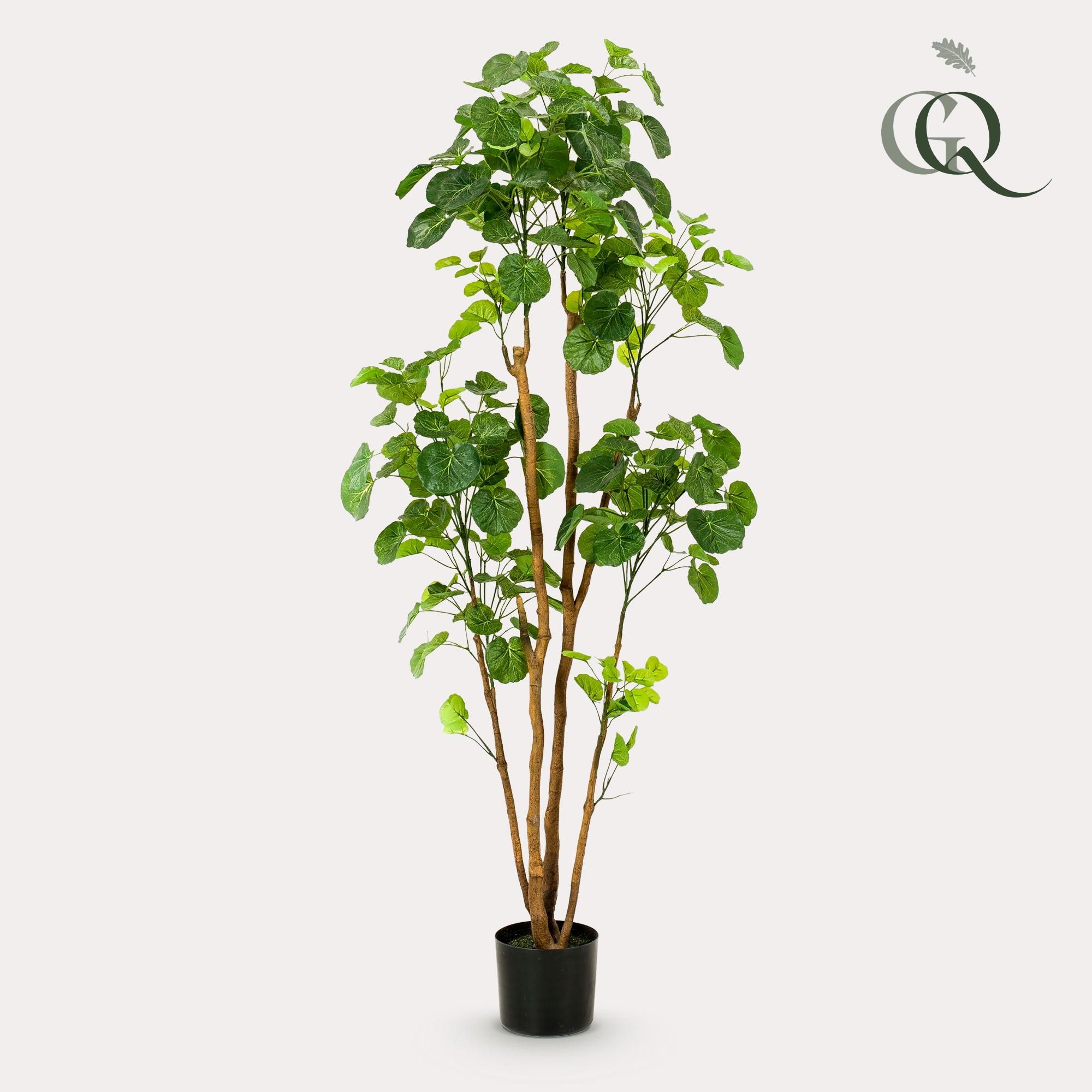 Kunstpflanze Polyscias Aralia 160 cm