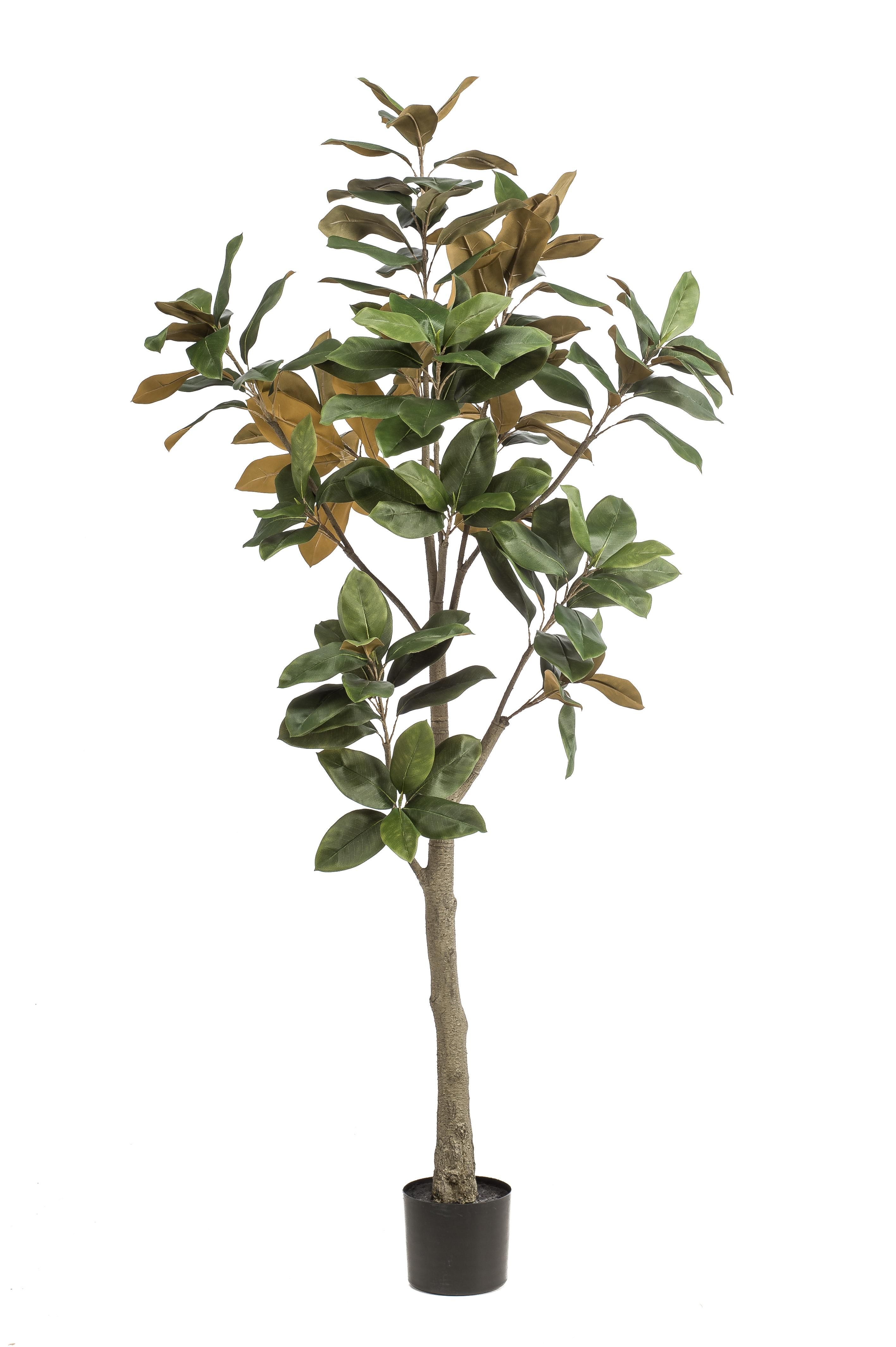 Kunstpflanze Magnolia Grandiflora