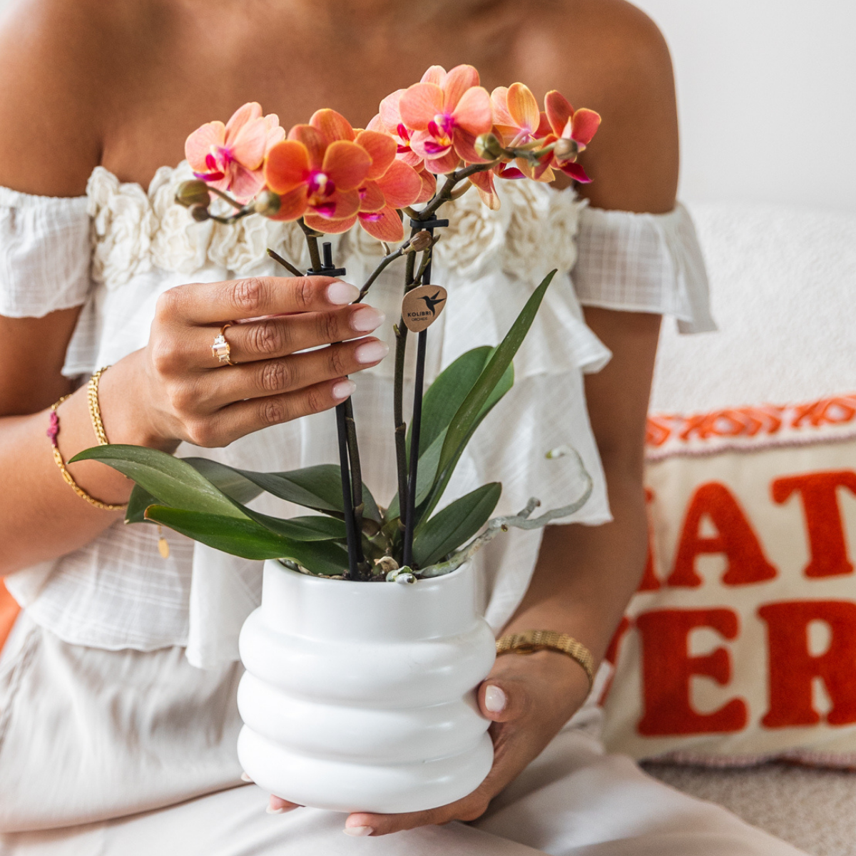 Phalaenopsis Orchideen Set Bolzano Orange