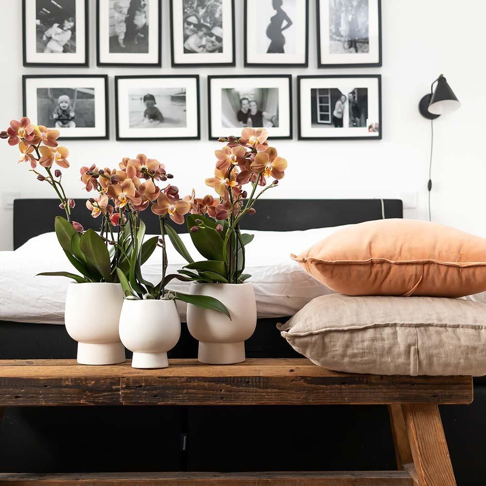 Weißer Keramik-Blumentopf Scandic