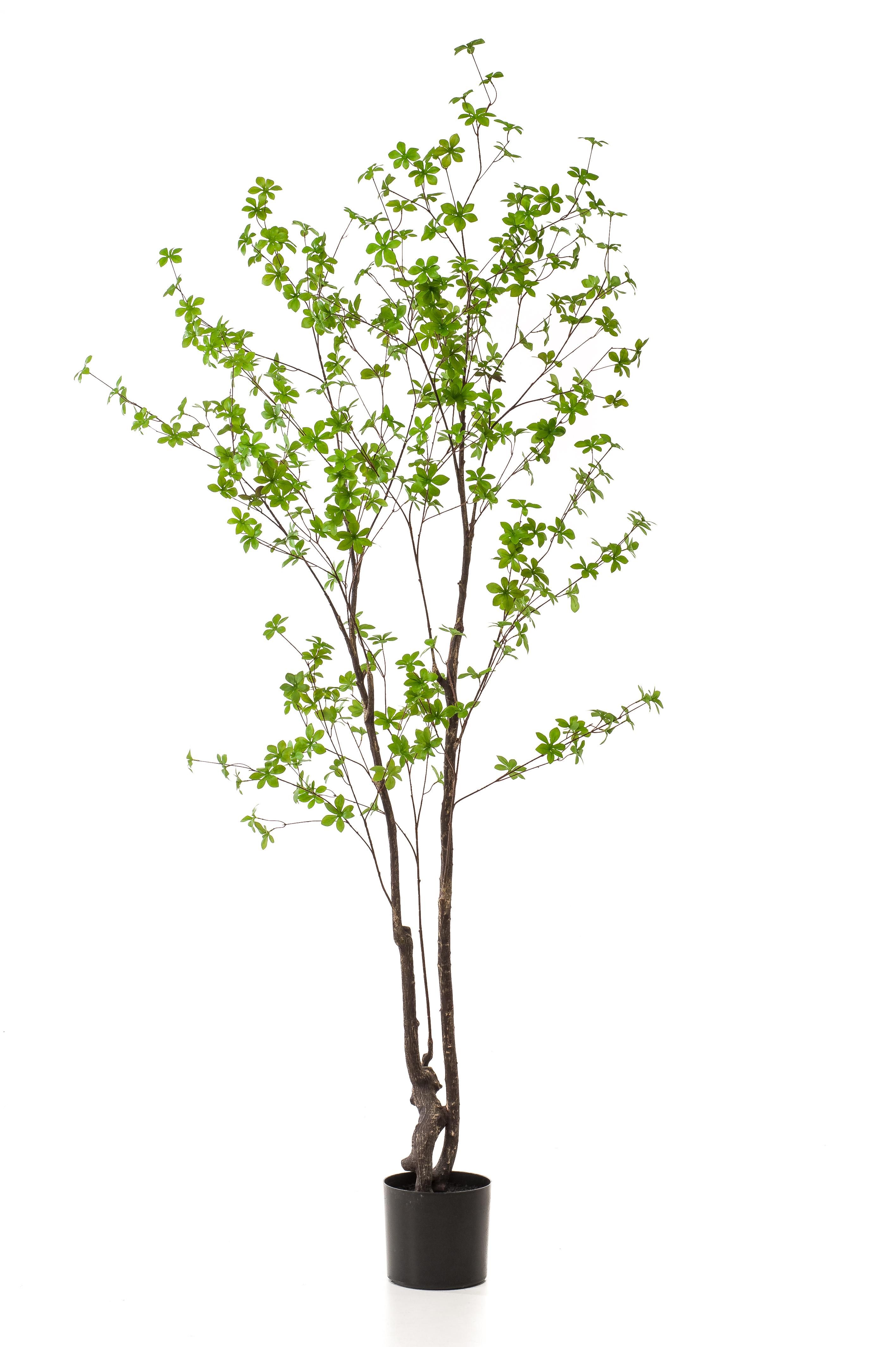 Kunstpflanze Ostindische Kirsche 210cm | Kunstblume hängend wie echt