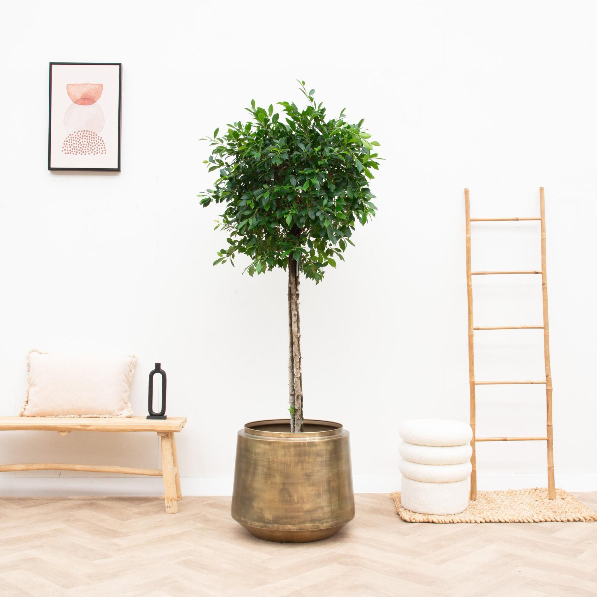 Vintage Kupfer Blumentopf Indigo
