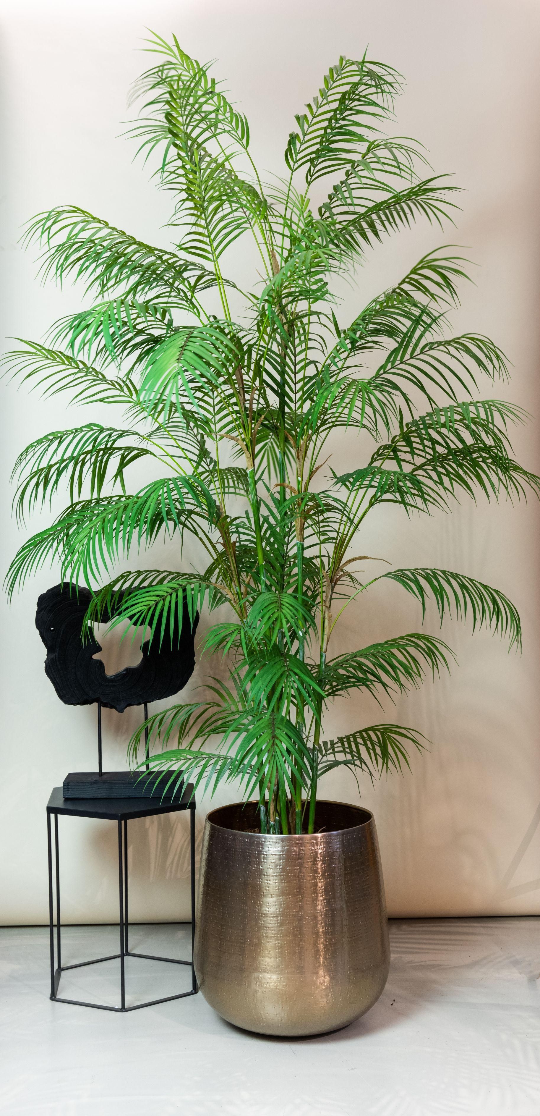 Bergpalme Künstliche Chamaedorea Elegans 180 cm