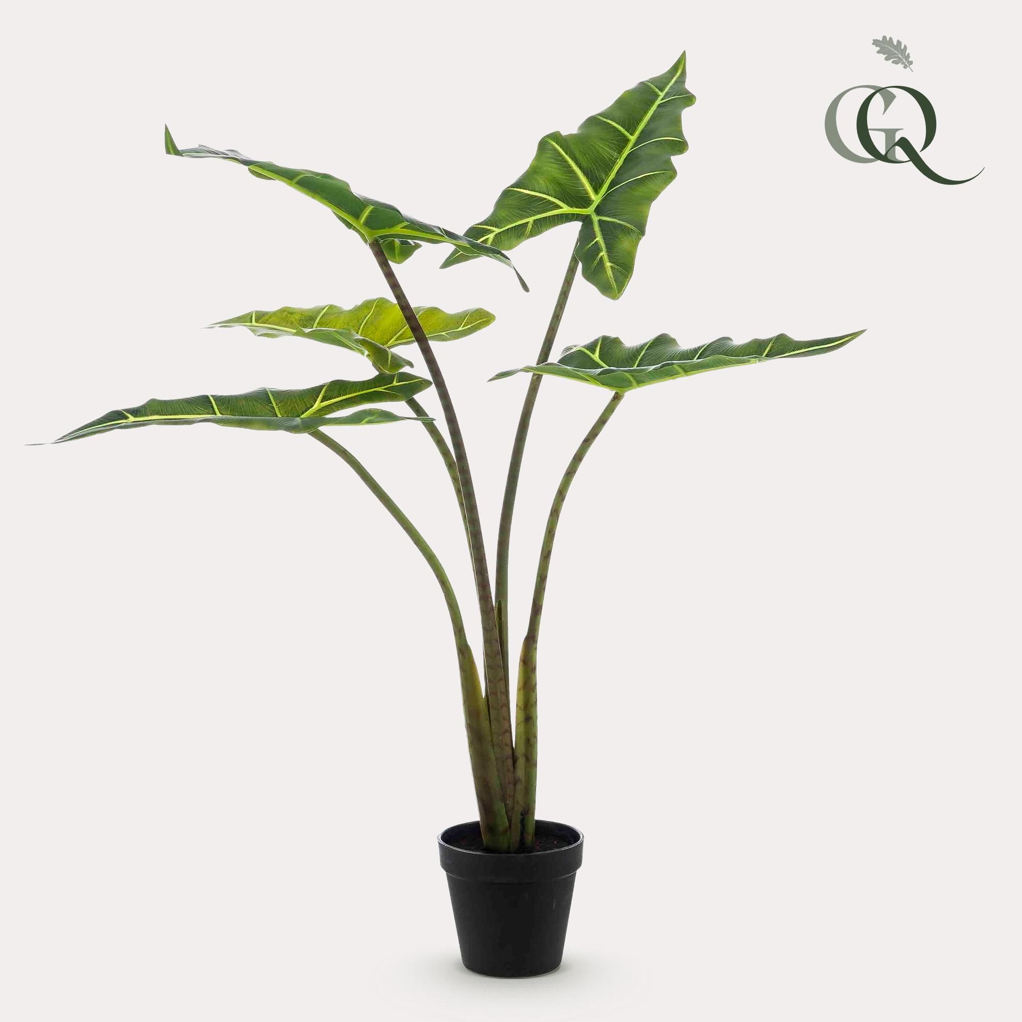 Kunstpflanze Alocasia Frydek 80 cm