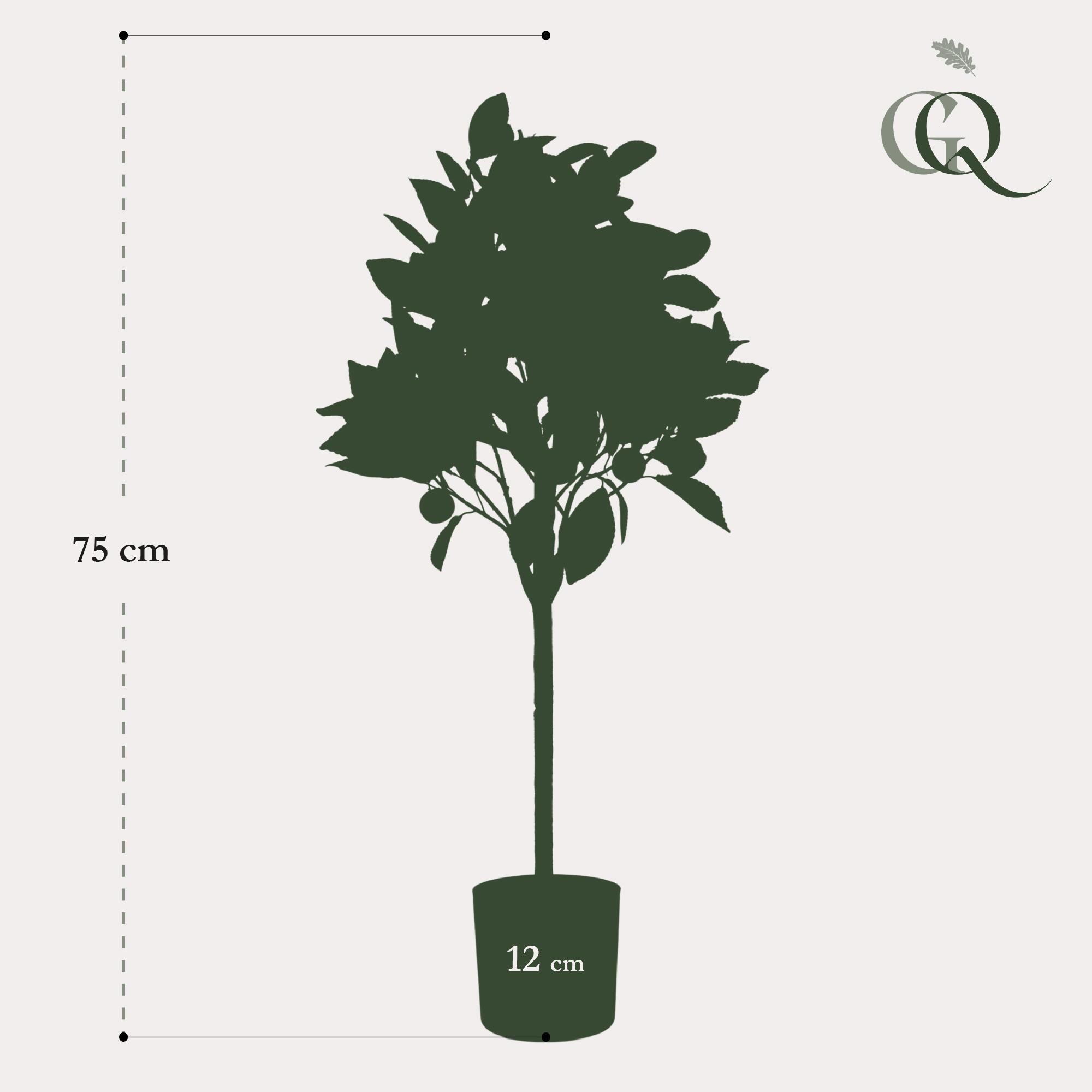Kunstpflanze Orangebaum Citrus Sinensis