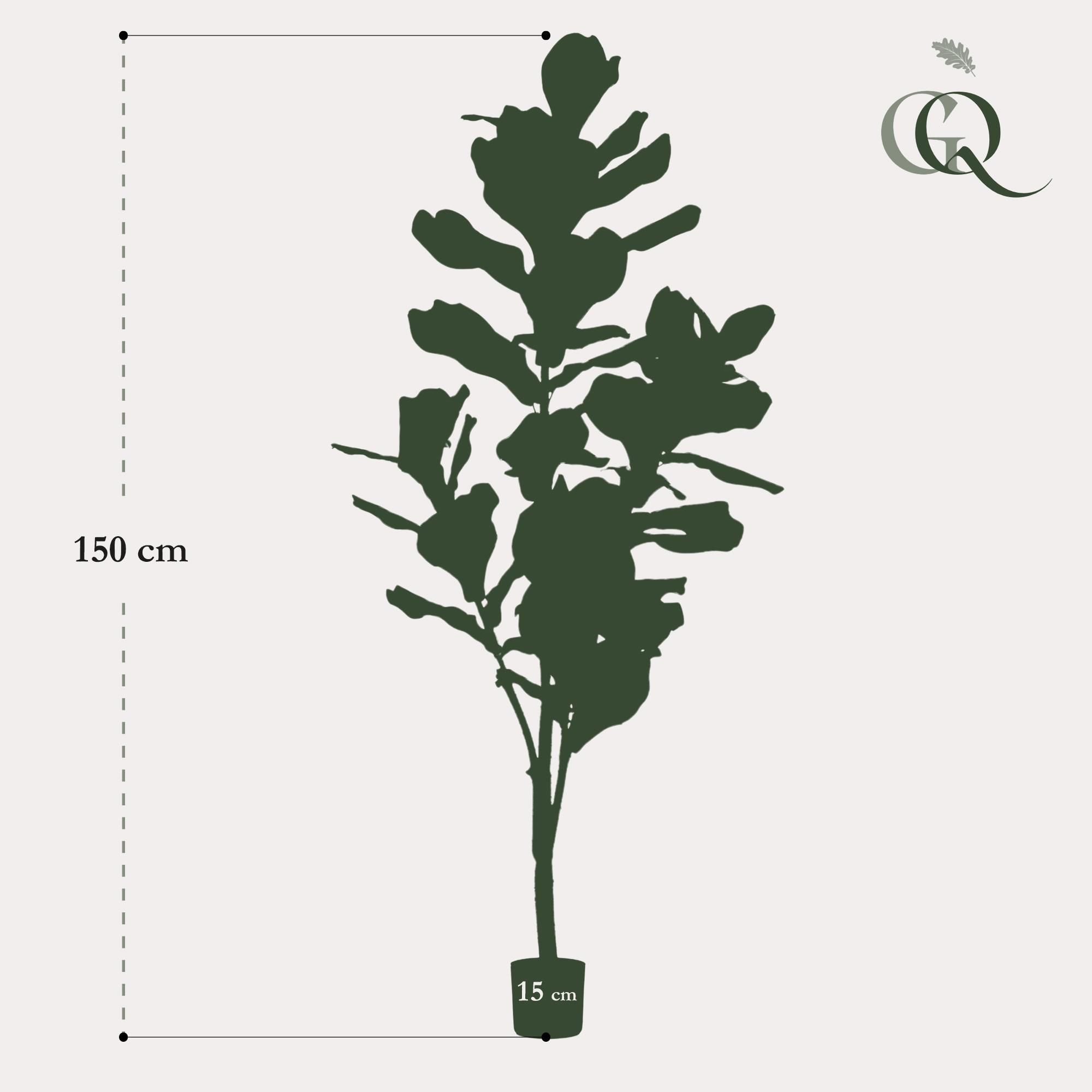 Kunstpflanze Ficus Lyrata – Tabakblattfeige – 150cm – künstliche Zimmerpflanze