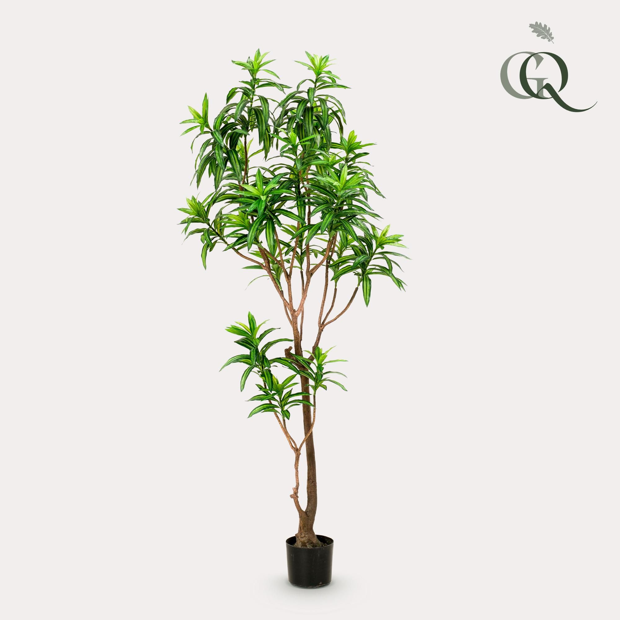 Kunstpflanze Drachenbaum Dracaena – 190 cm Höhe