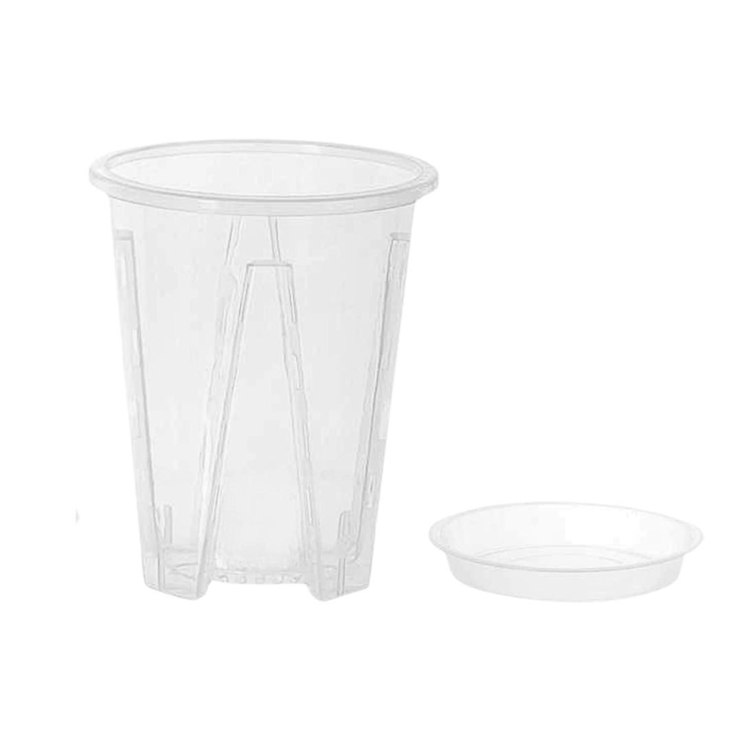 Plantscraper Kletterpflanzen-Sets: Moosstab, Topf & Anker