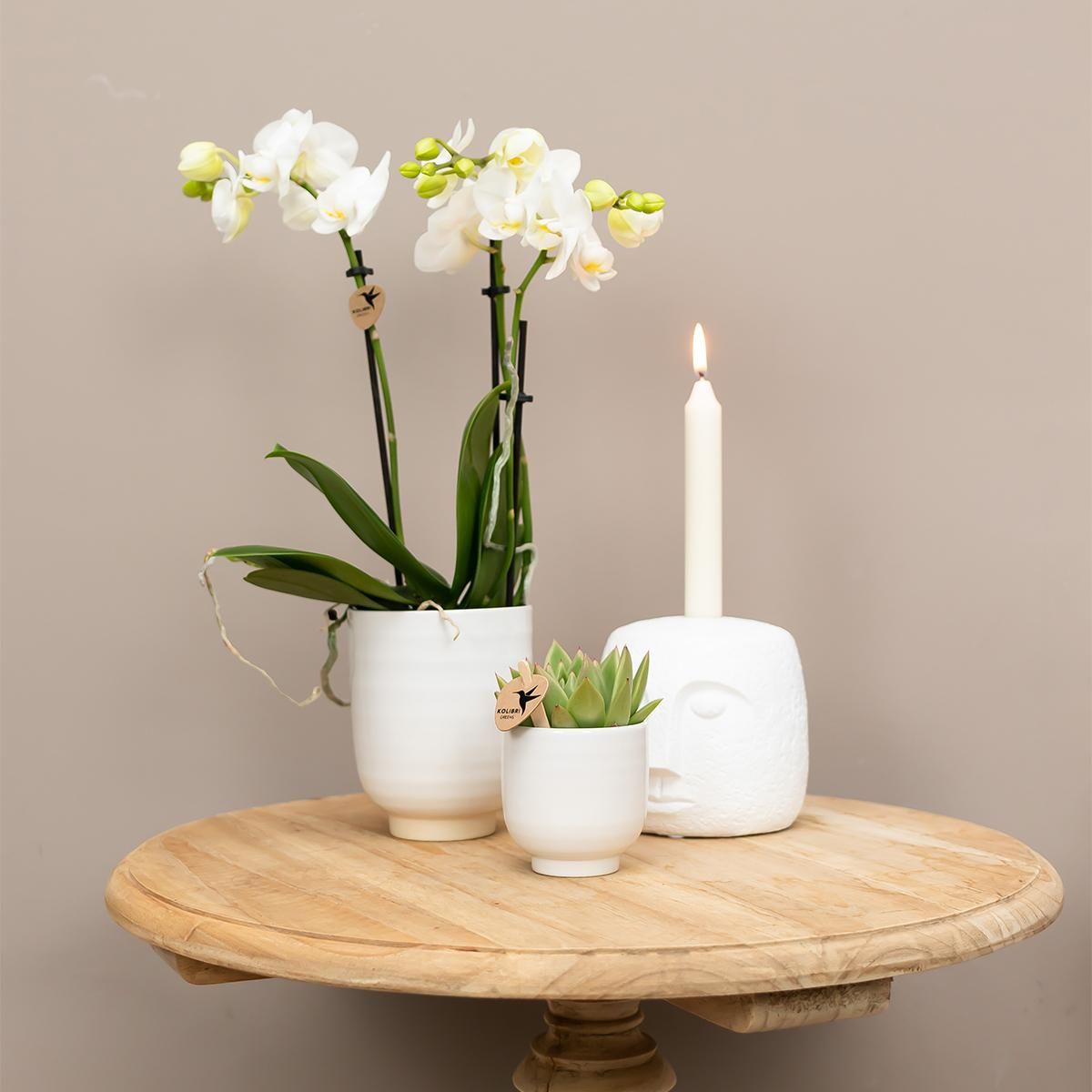 Glänzender Keramik Blumentopf Weiß