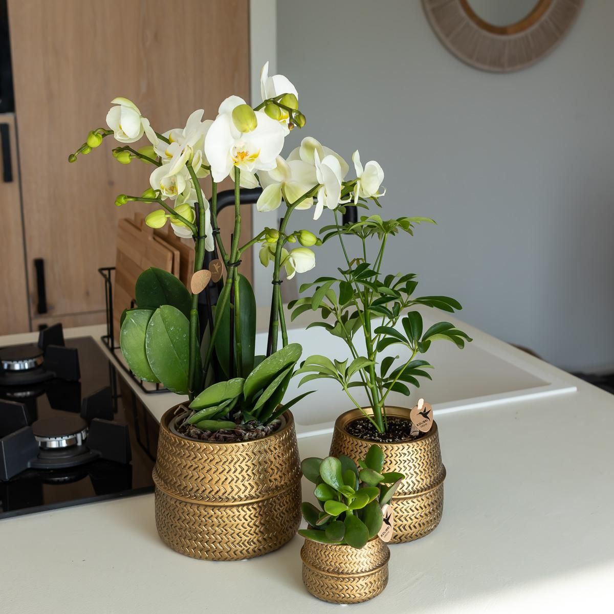 Groove Blumentopf aus Keramik in Gold