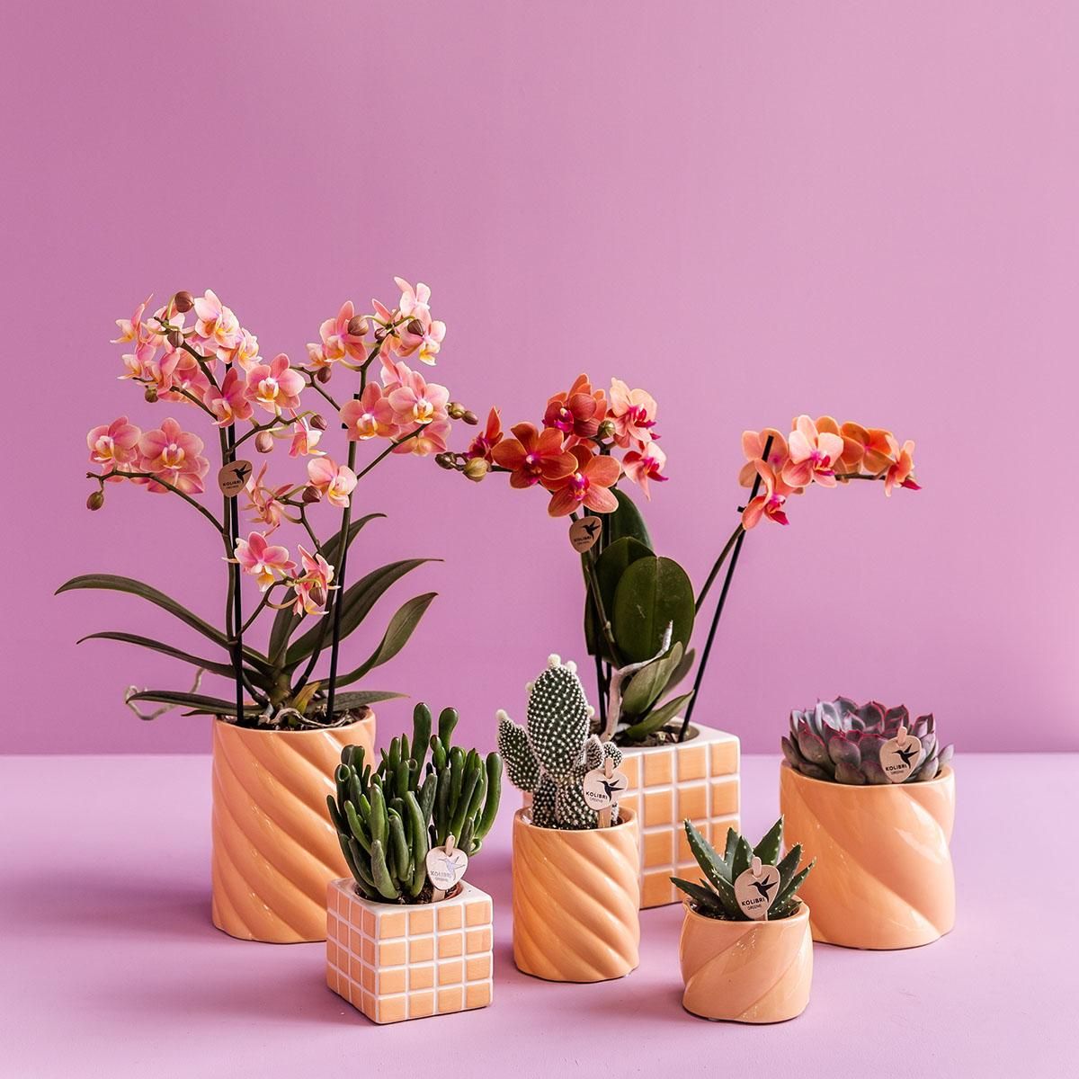Ziertopf Mosa – Orange – Ø9cm – Glänzend