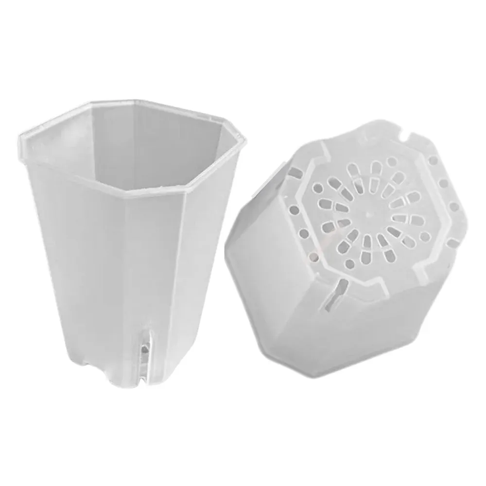 Eckige & hohe Aroid Töpfe – Platzsparend & Transparent
