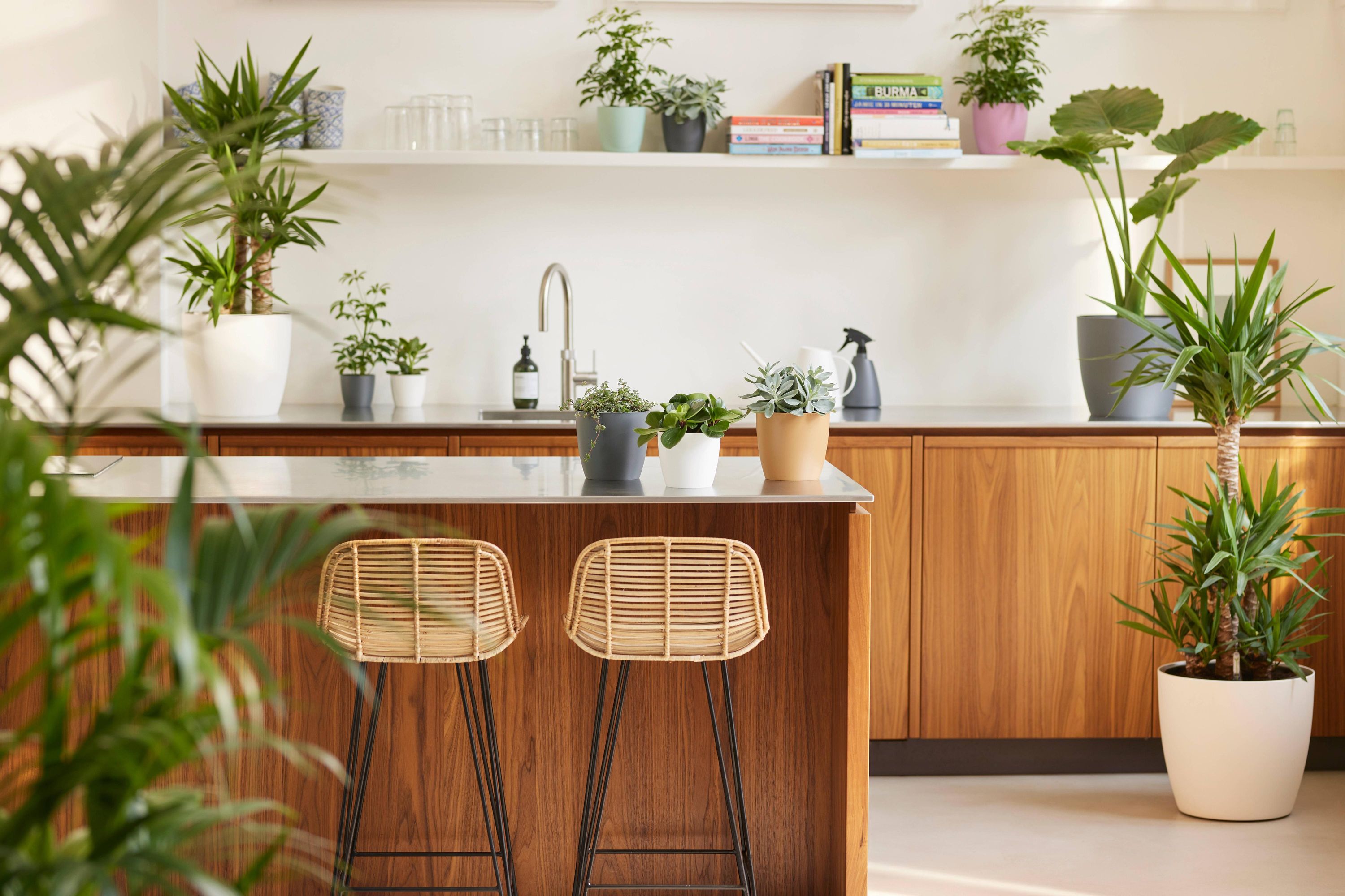 Moderner runder Blumentopf Anthrazit