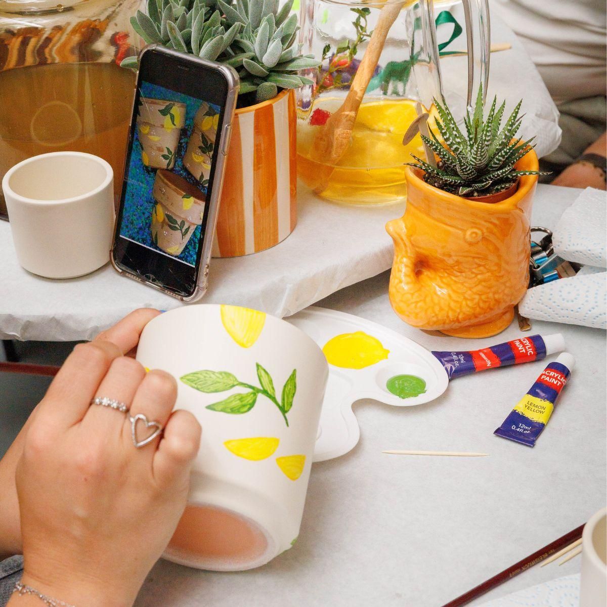 Kolibri Orchideen und Sukkulenten Kreativset zum Blumentöpfe Bemalen