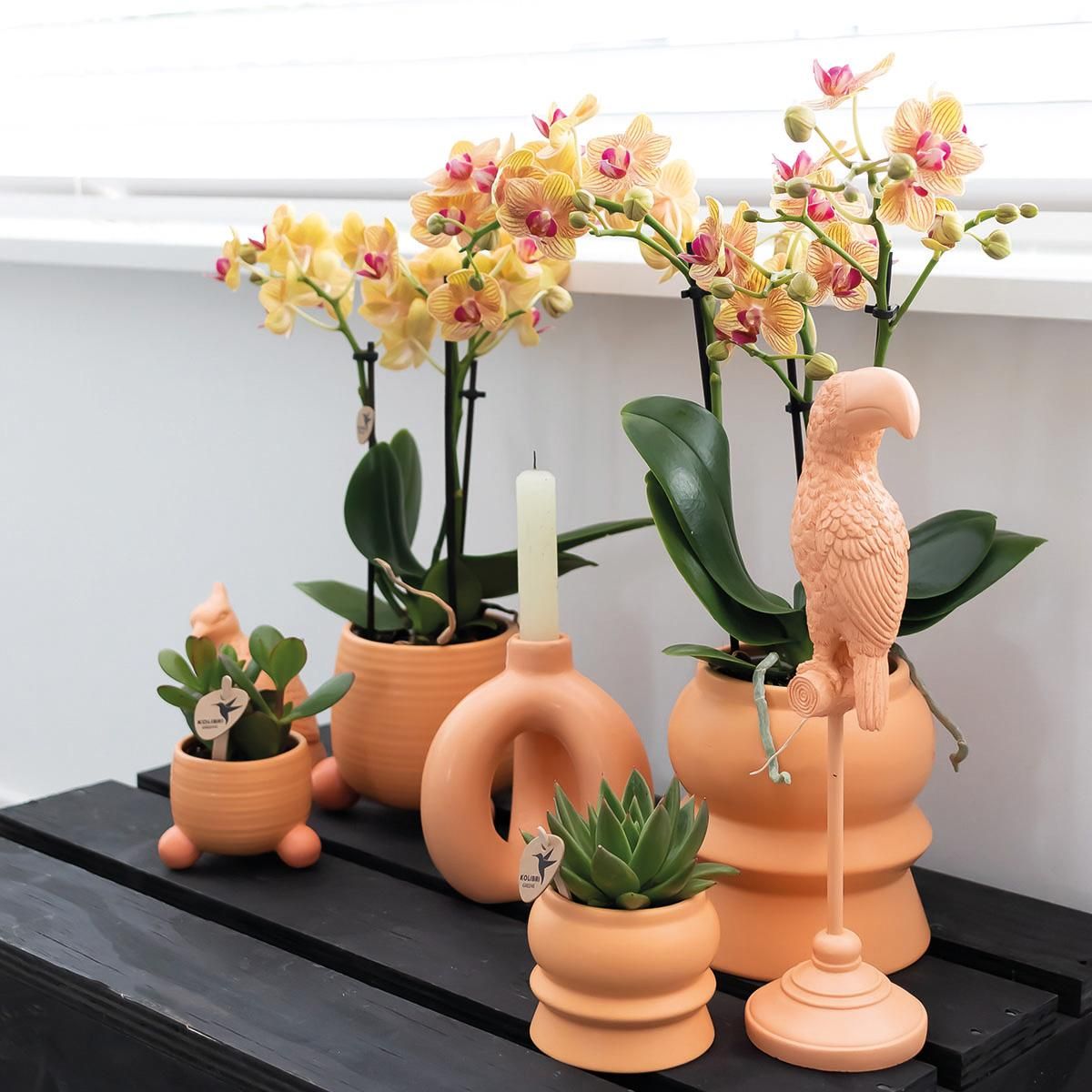 Keramik Blumentopf Rolling Pfirsich Ø6cm