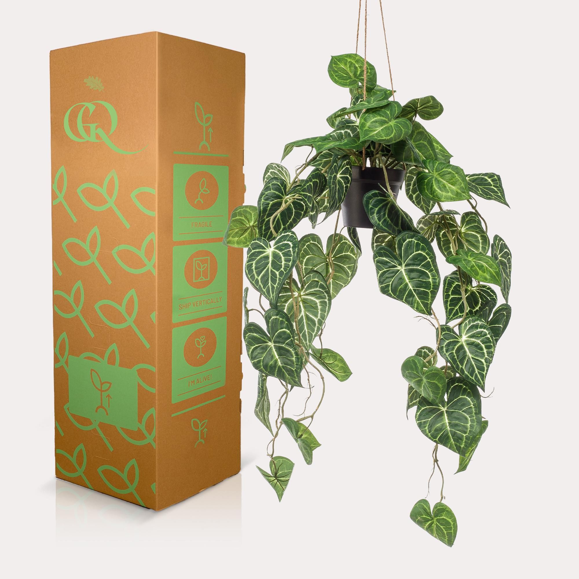 Kunstpflanze Anthurium Clarinervium in Hängekorb