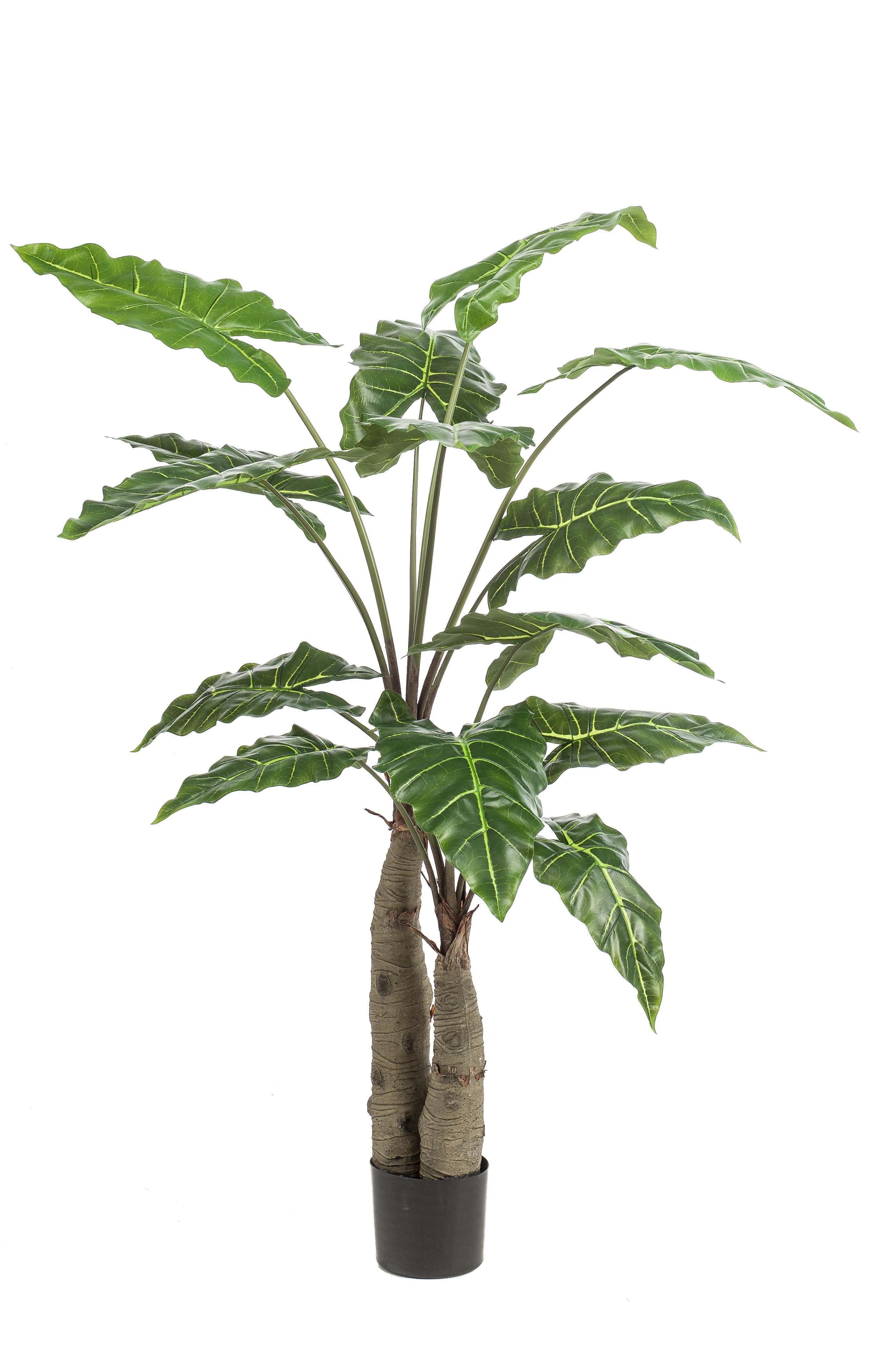 Kunst-Alocasia Pflanze Olifantsoor 150 cm