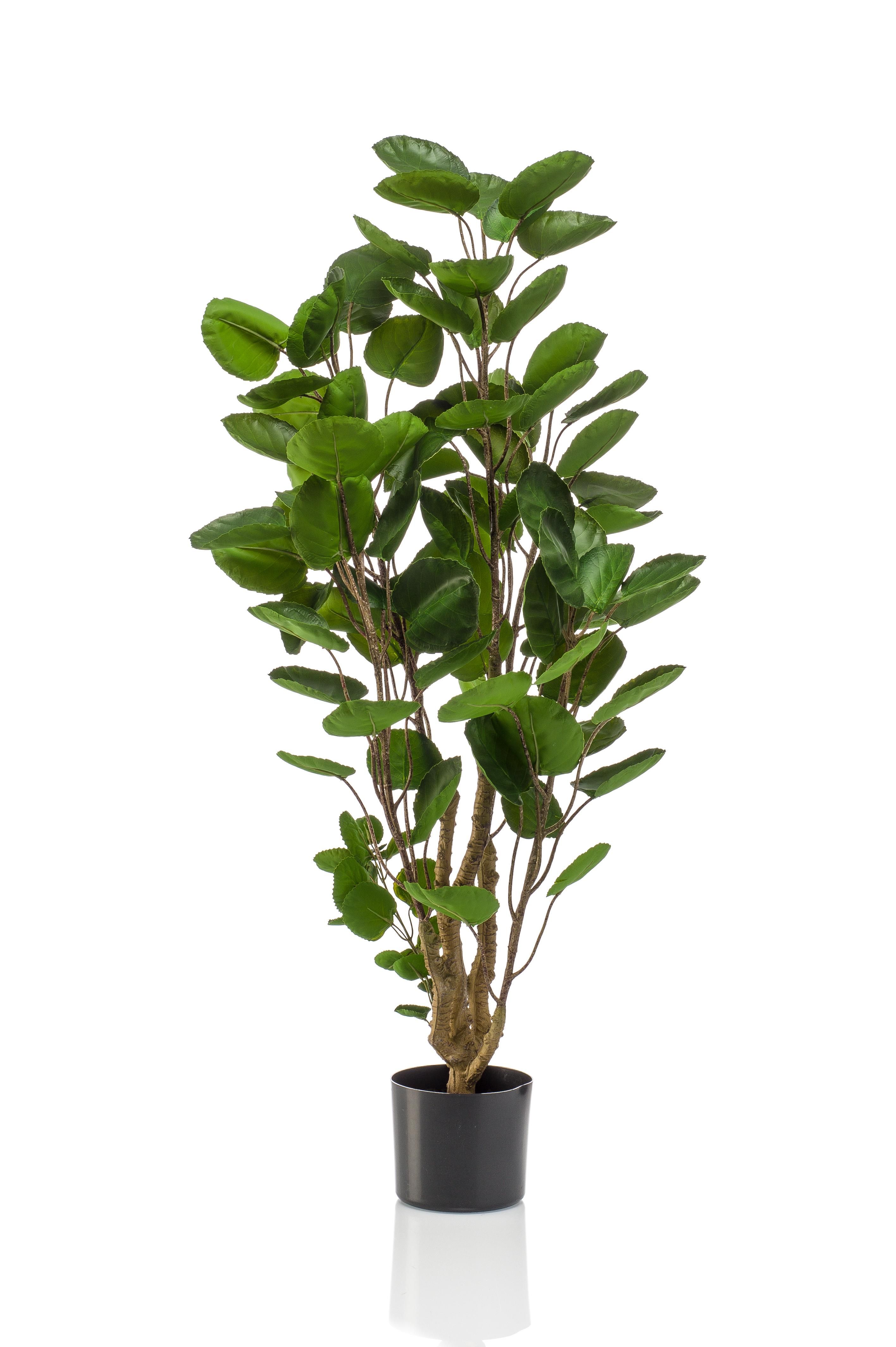 Kunstpflanze Polyscias Aralia 105 cm